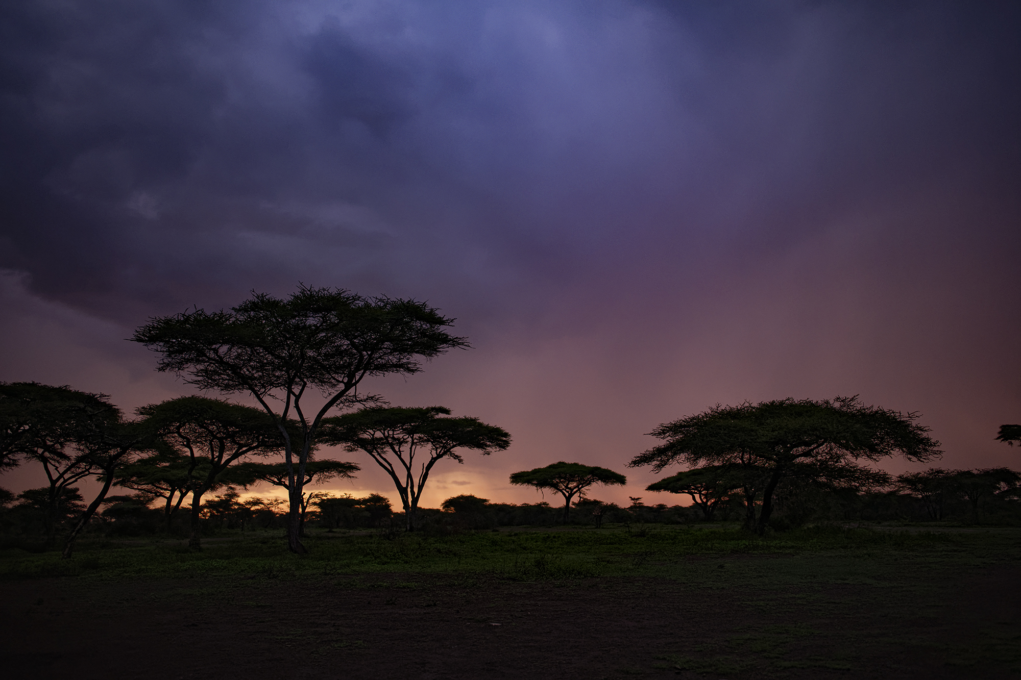 sunrise in the serengeti...