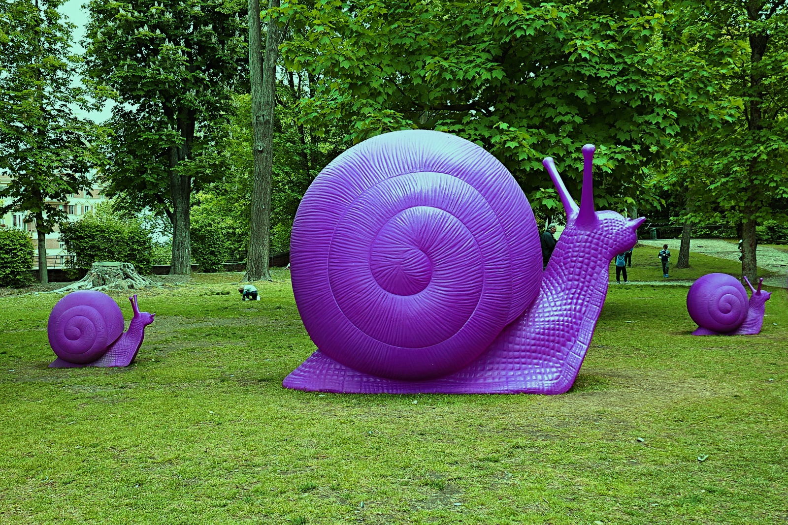 Snails at the Royal Gardens ( Turin )...