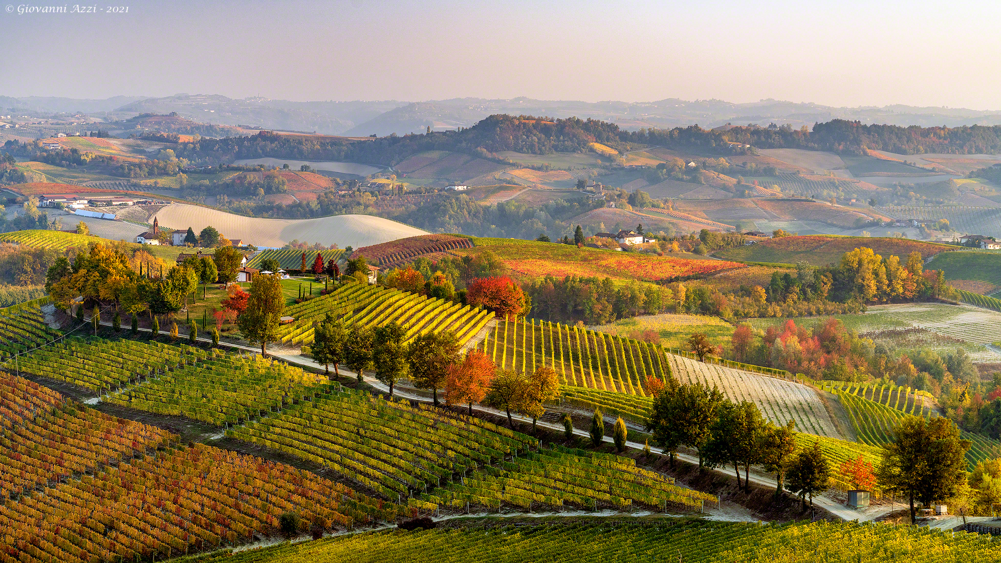 Colors of the Langhe...