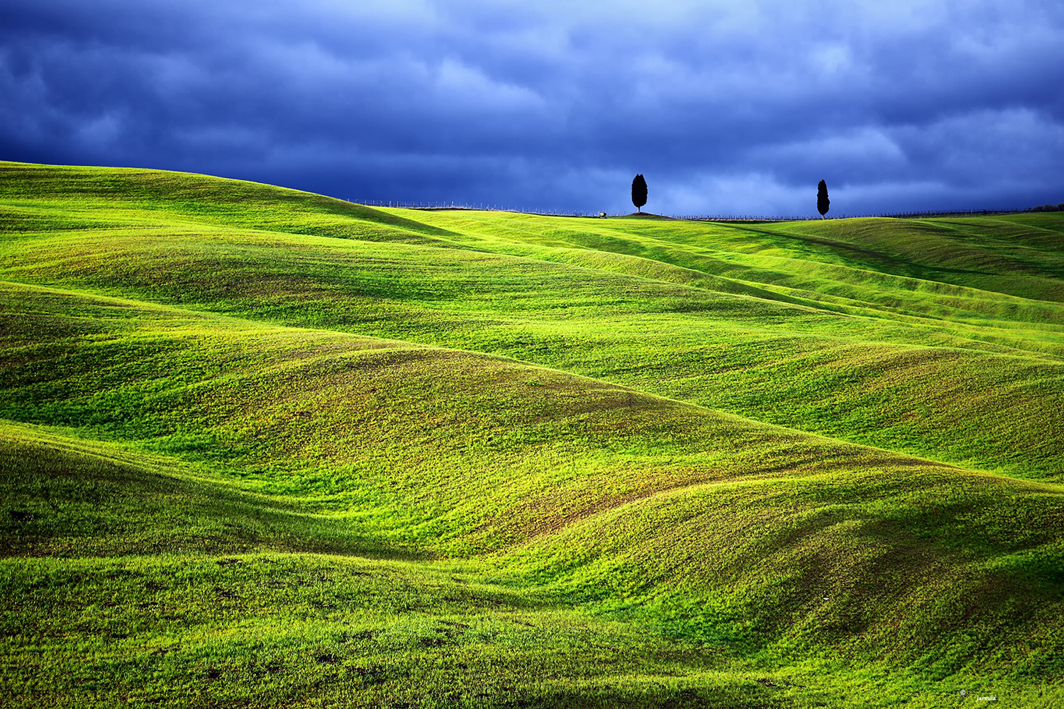Among the green waves of the Val d'Orcia ...