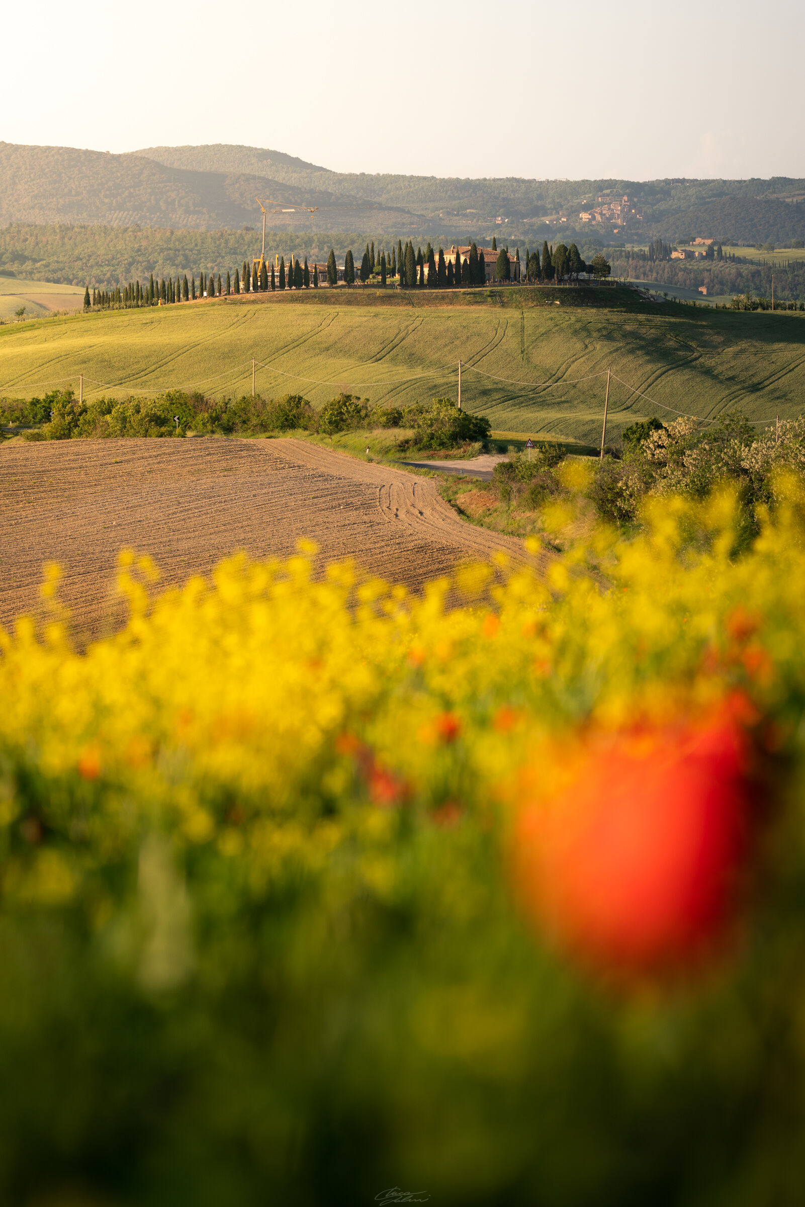 The colors of Tuscany...