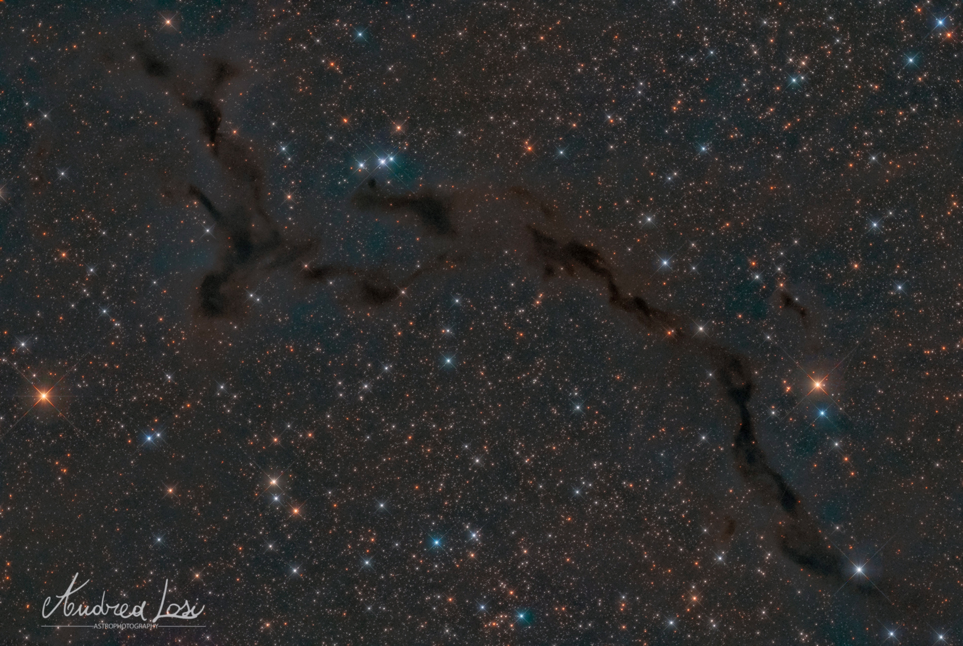 ldn 1082-nebulosa cavalluccio marino...