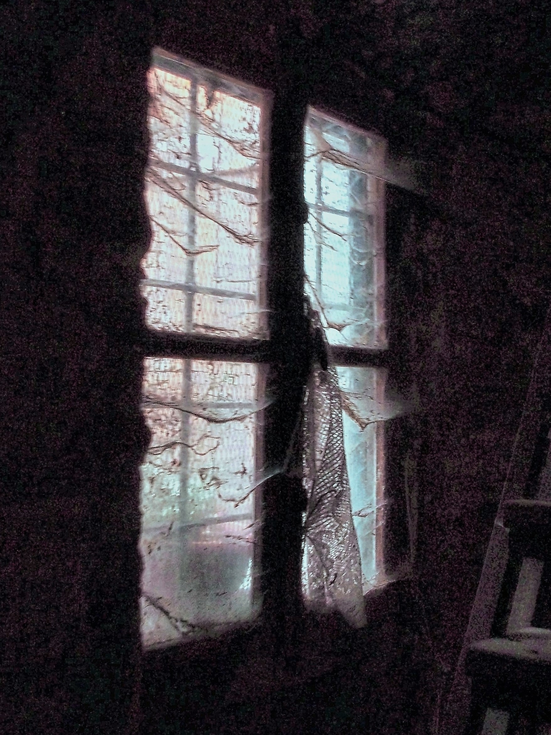 The Dead Window...