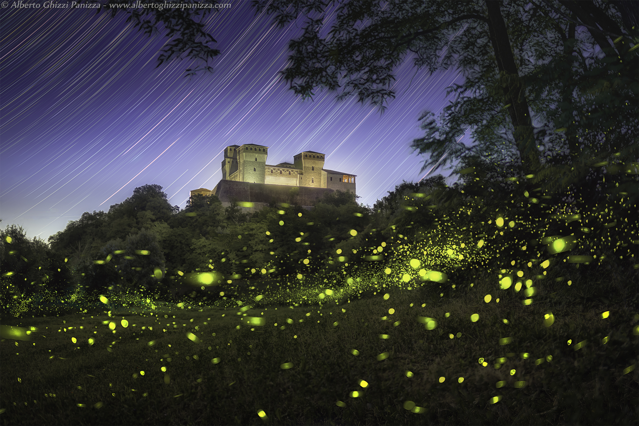 Fireflies at the summer solstice...