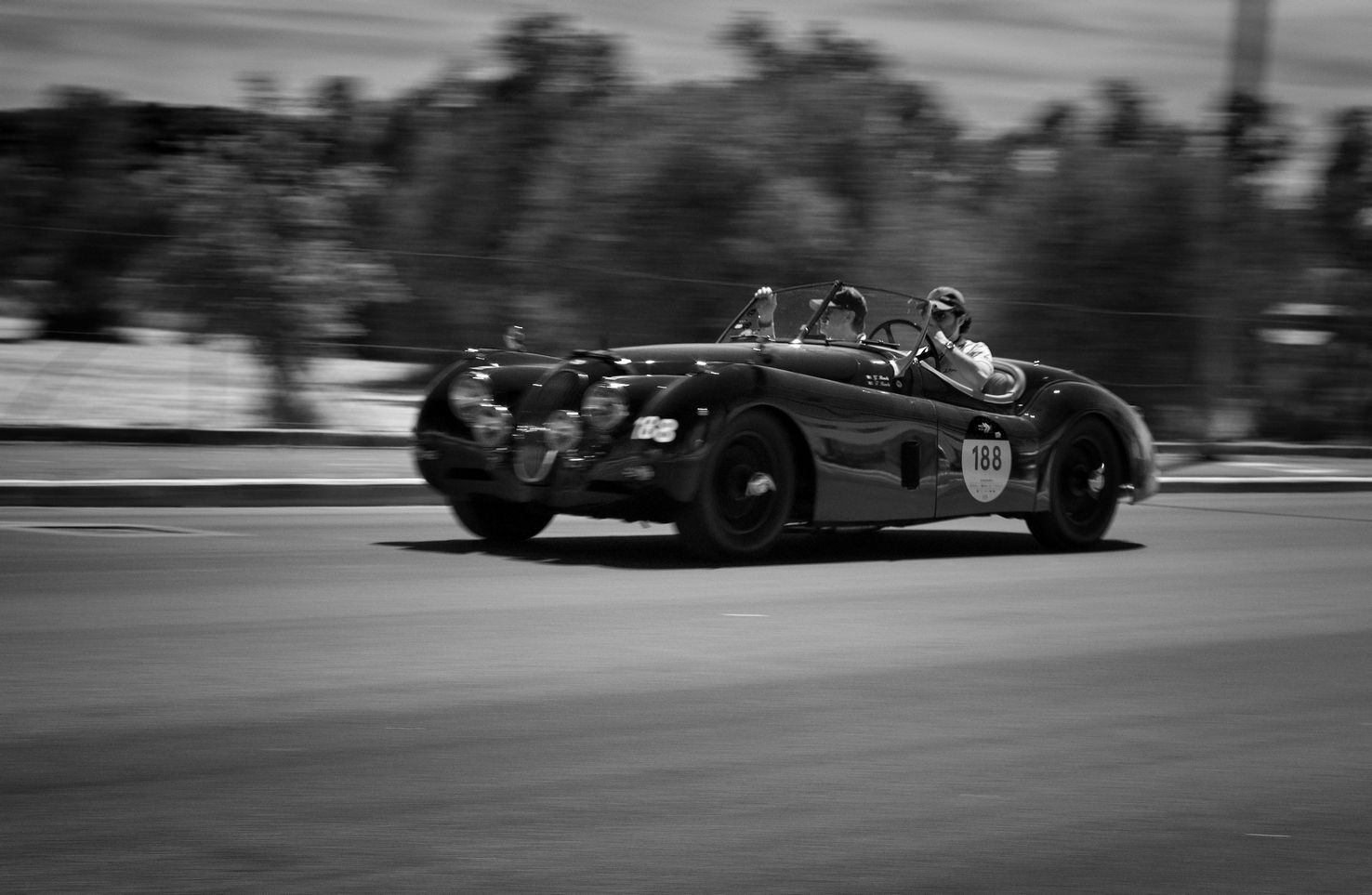 Black and white panning ...