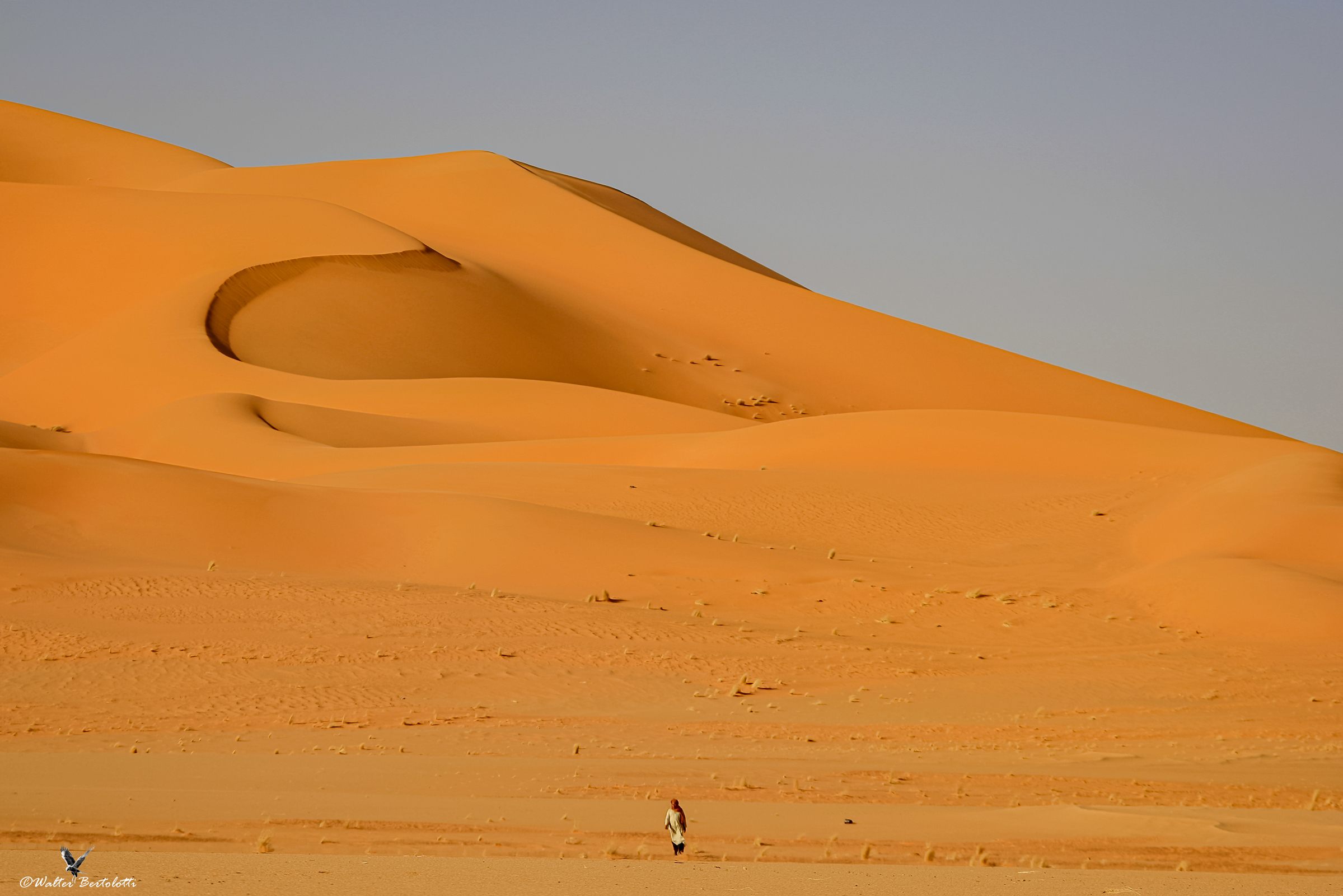 ALONE IN THE SAHARA...