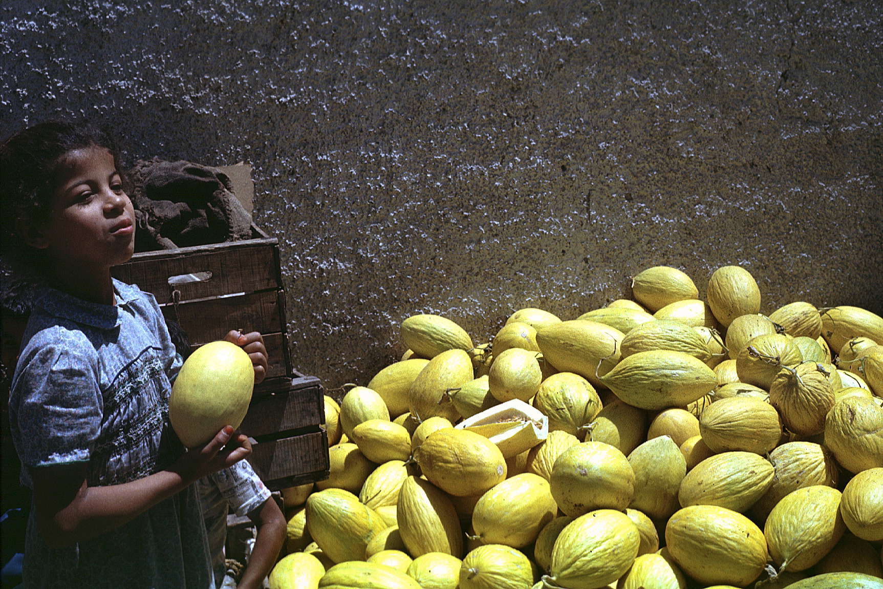 Venditrice di meloni - Marocco...