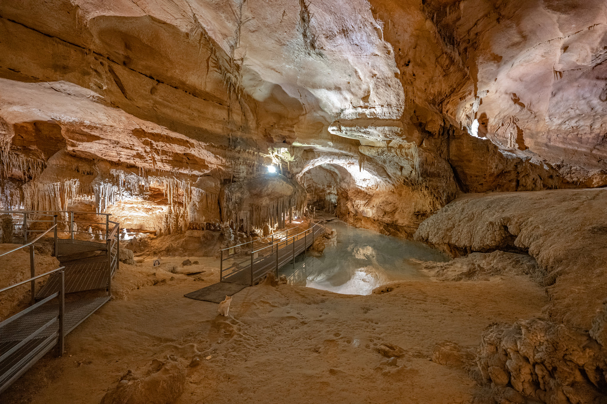 Grotta del fico (nuoro) https://www.grottadelfico.it/en...