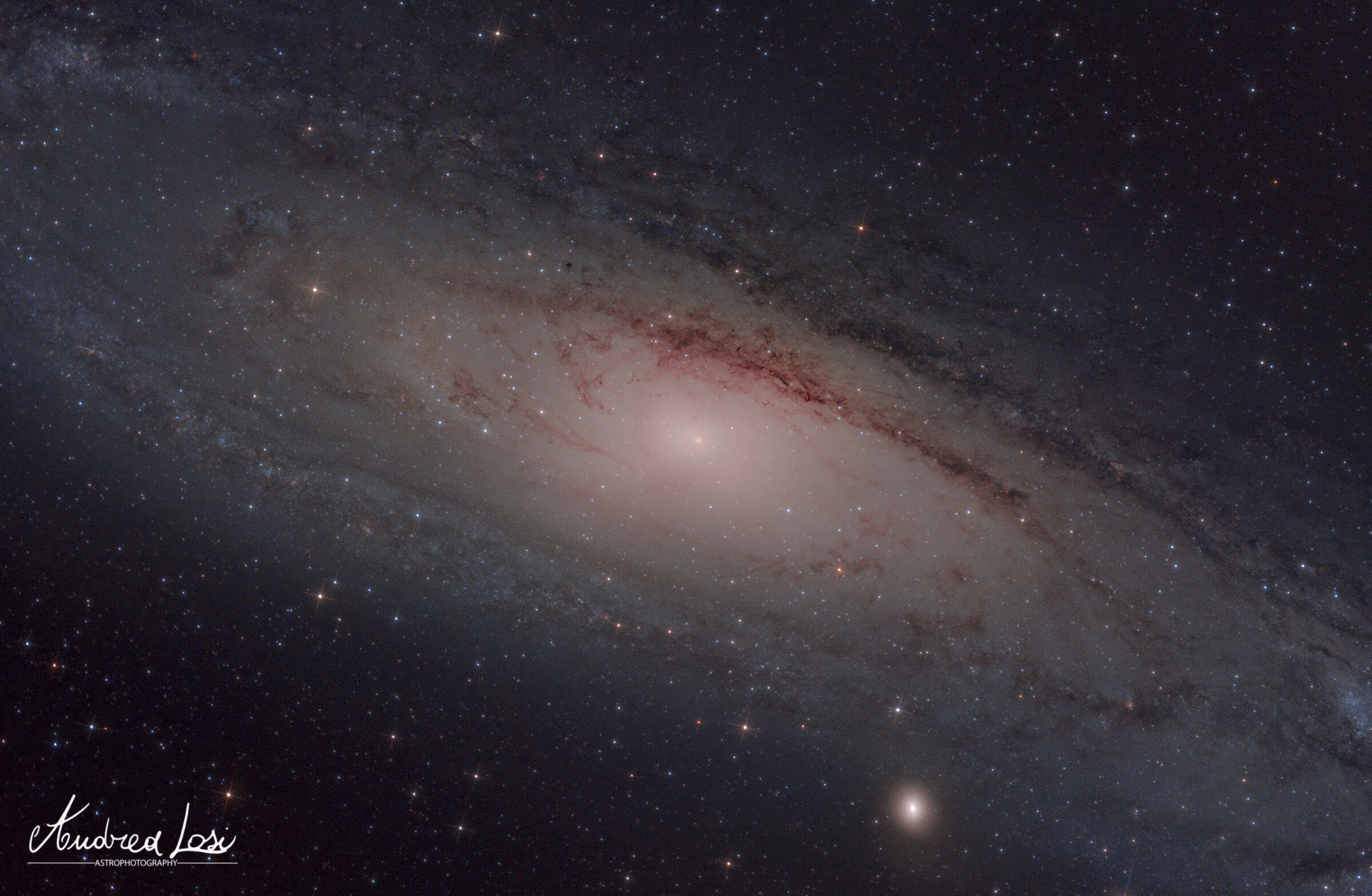 Andromeda Galaxy ...