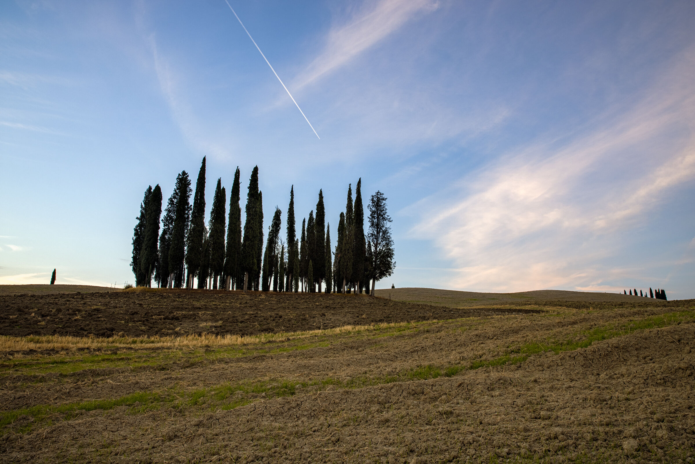 The cypresses of San Quirico...