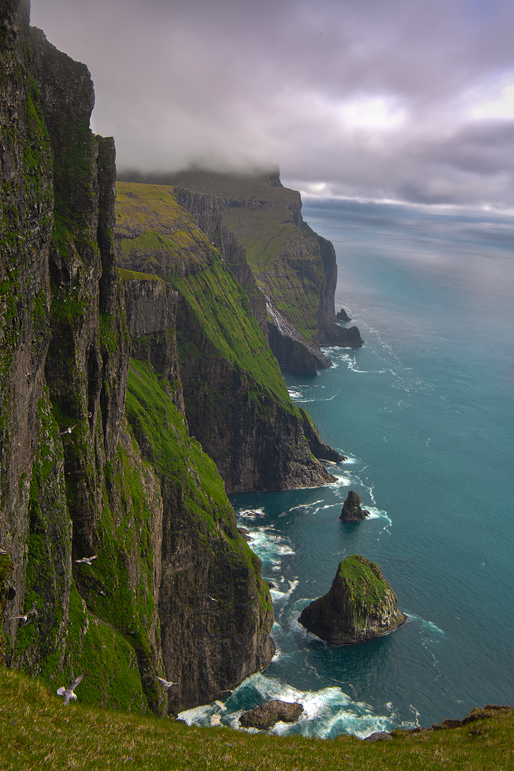 Scogliera di Mylingur - Faroe...