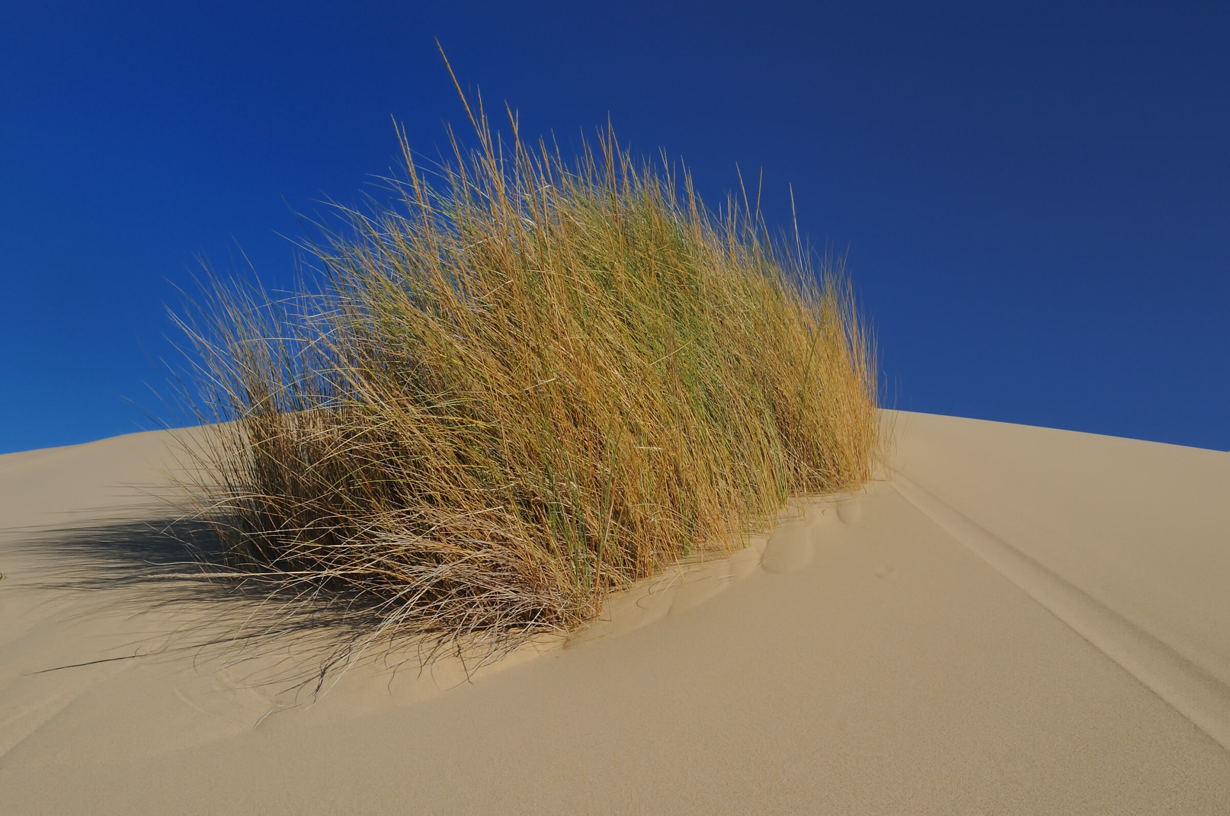 Dunes of Piscinas Arbus...