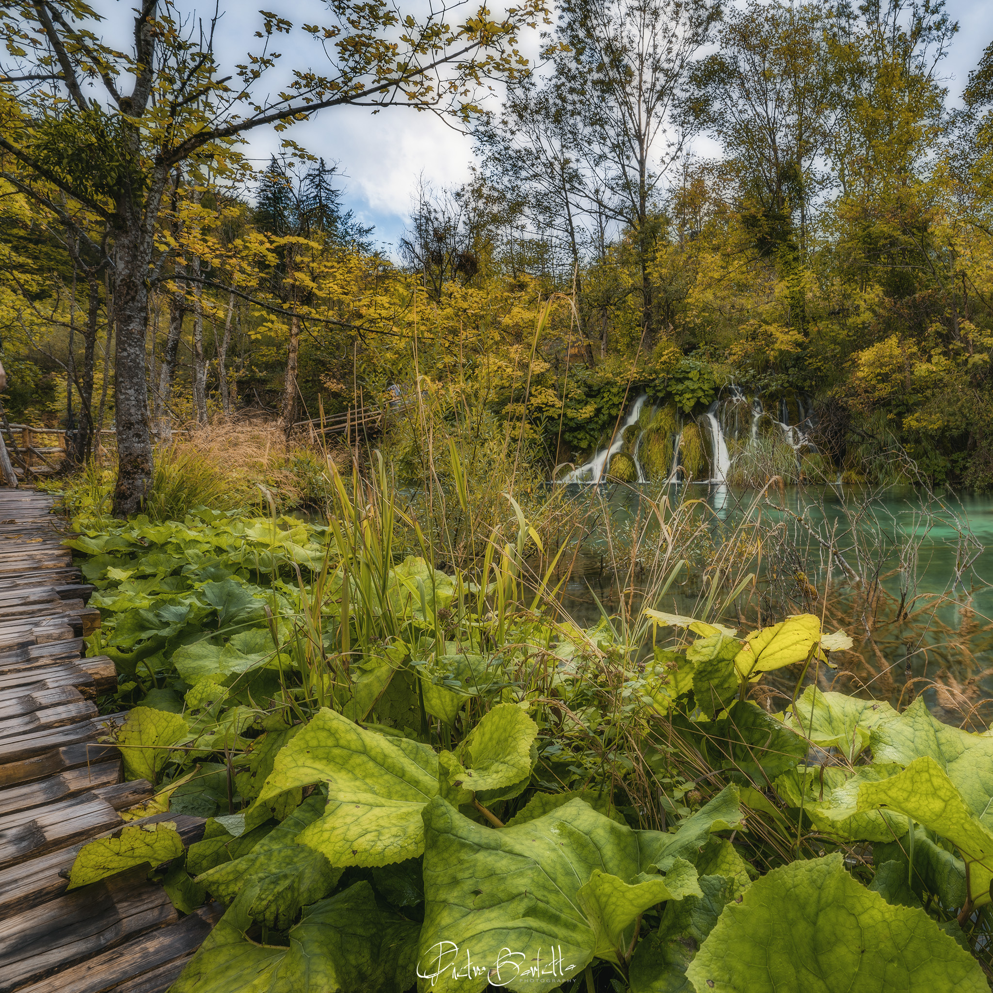 Leaf Trail, Plitzvice...