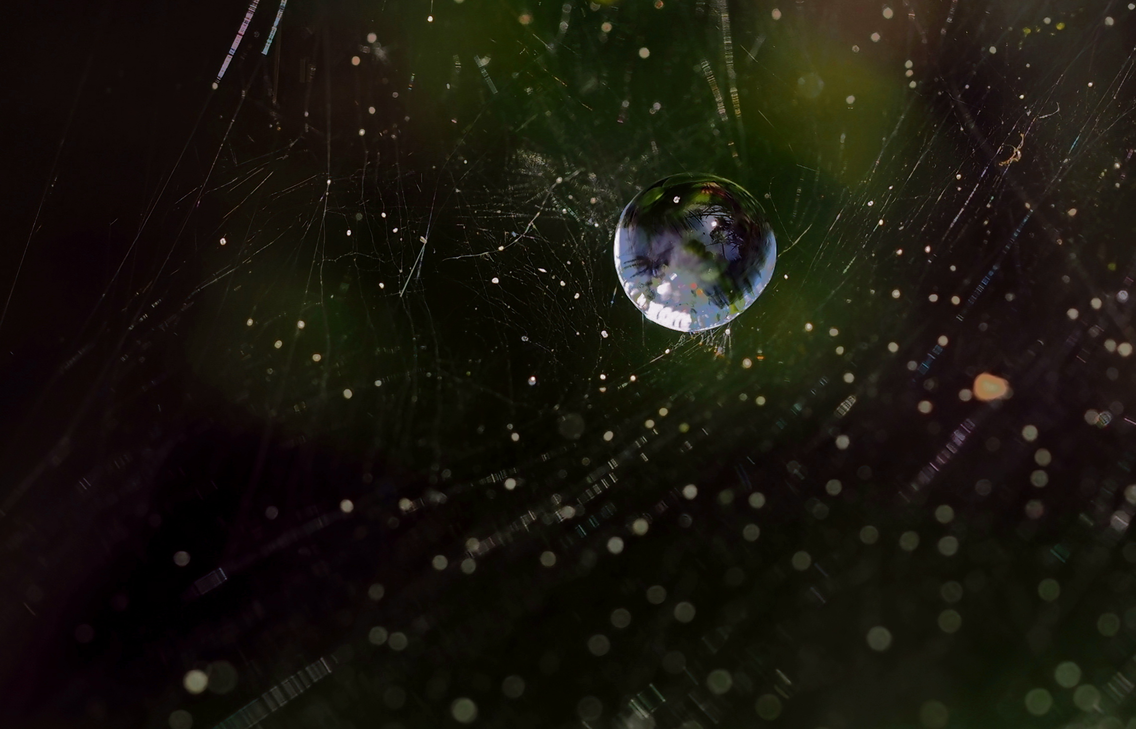 The world in a drop...
