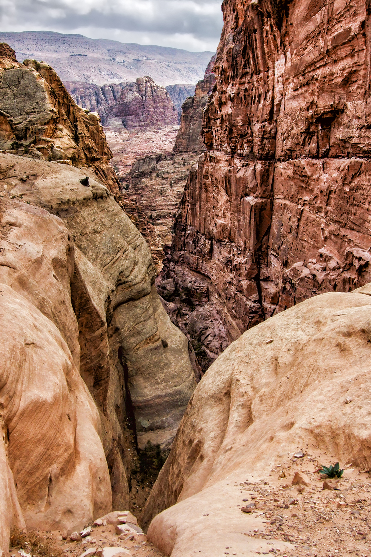The canyons of Petra...