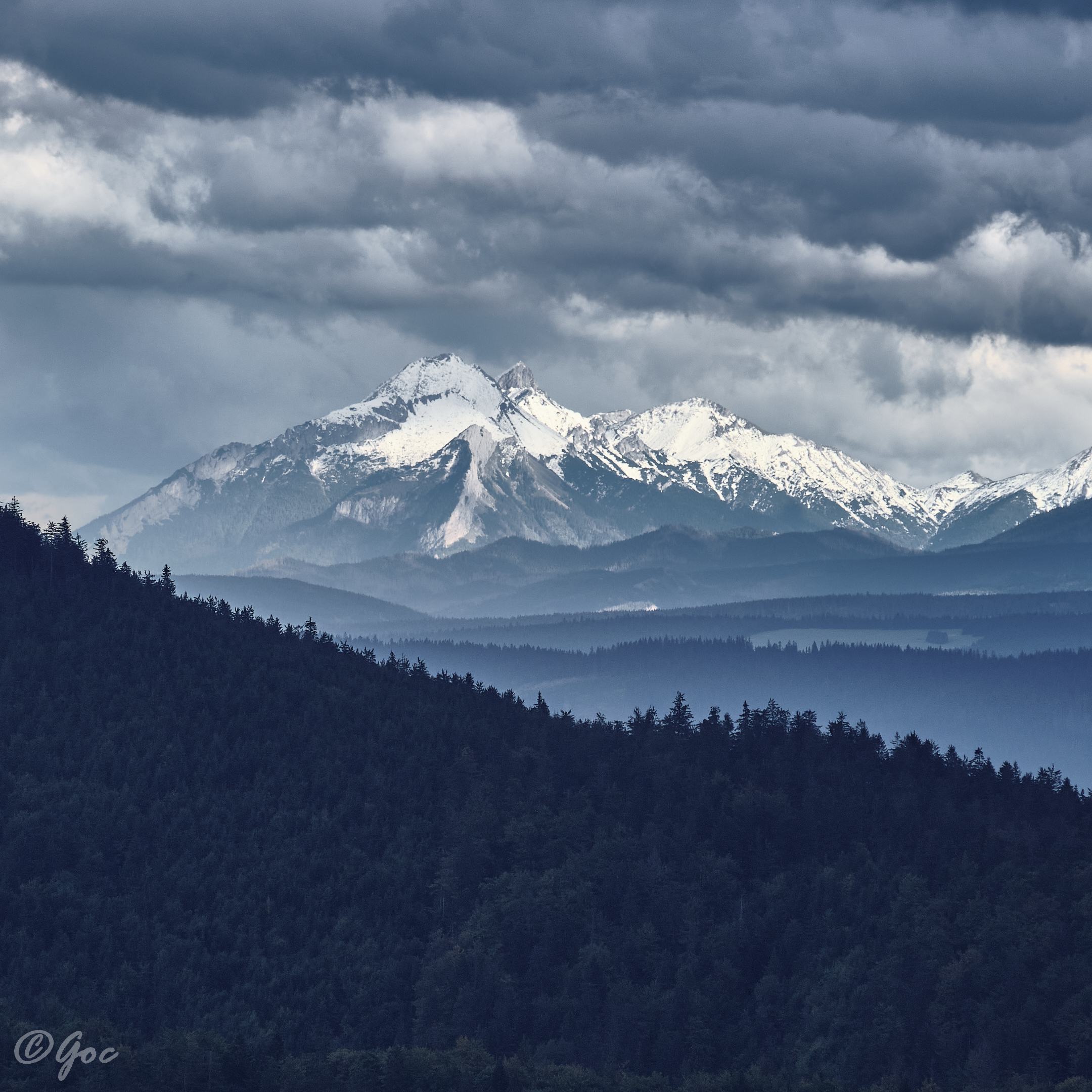 The view of the Belianske Tatras from Wielka Rycerzowa....