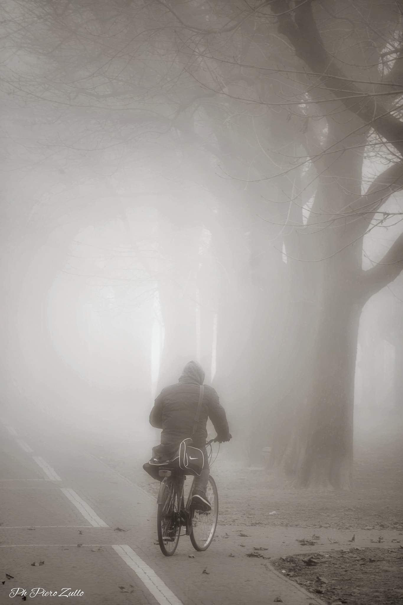  Lost in the fog......