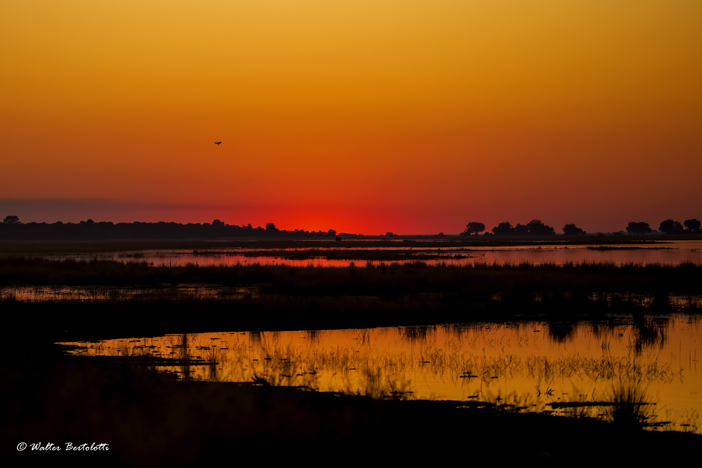 tramonto sul Chobe...