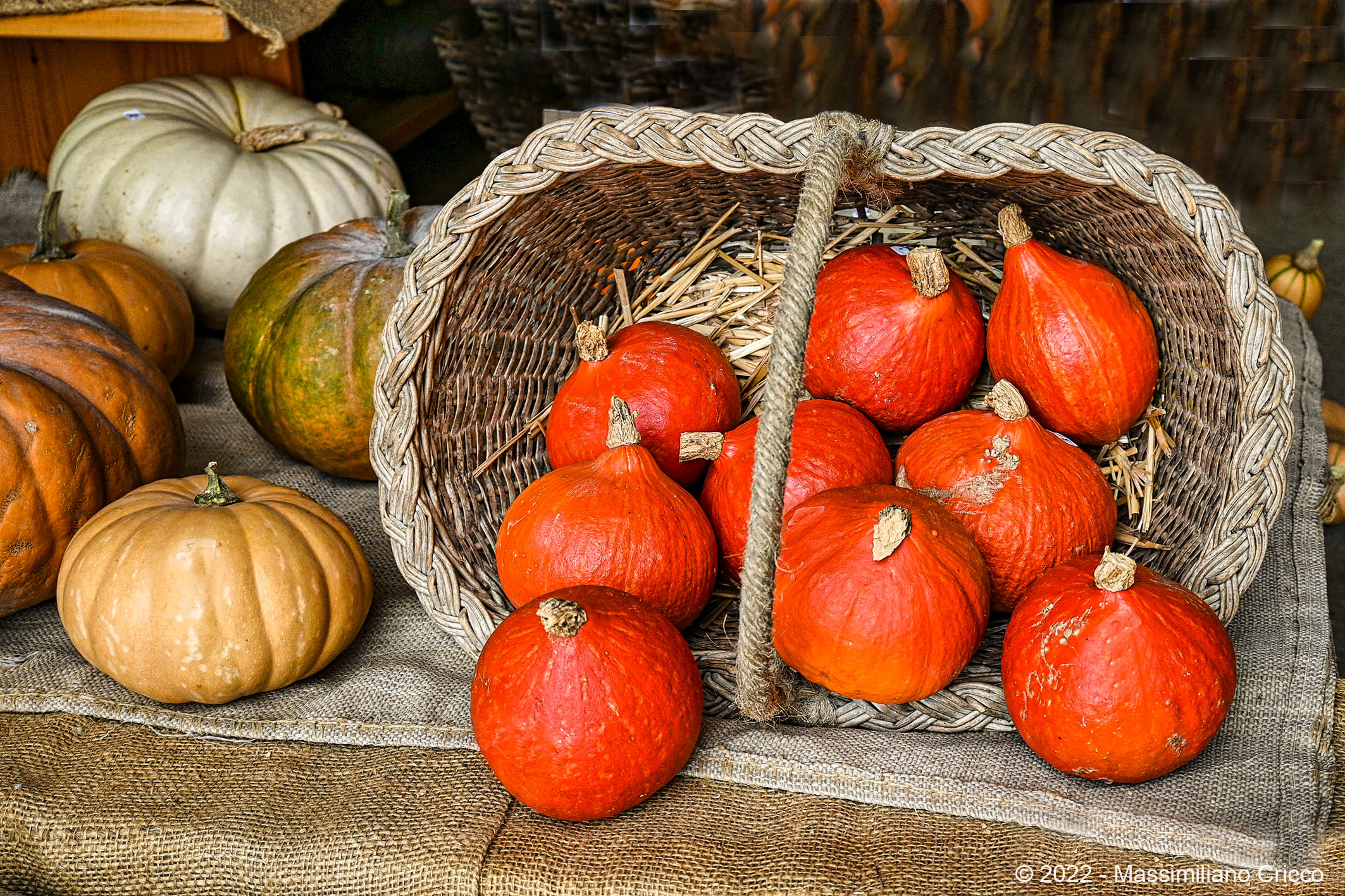 Pumpkin Market, Vuiteboeuf, Vaud, Switzerland...