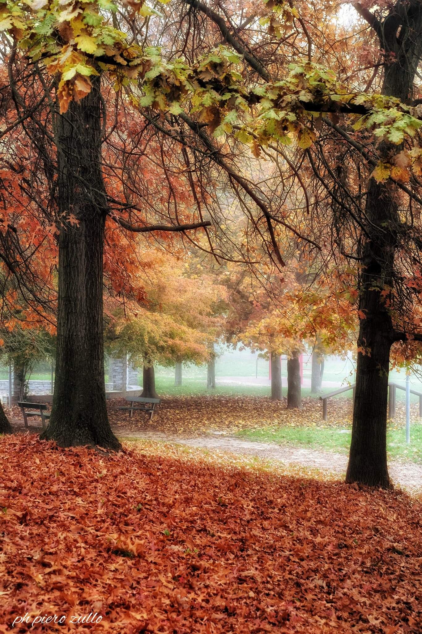 L'autunno è la stagione dei mille colori....