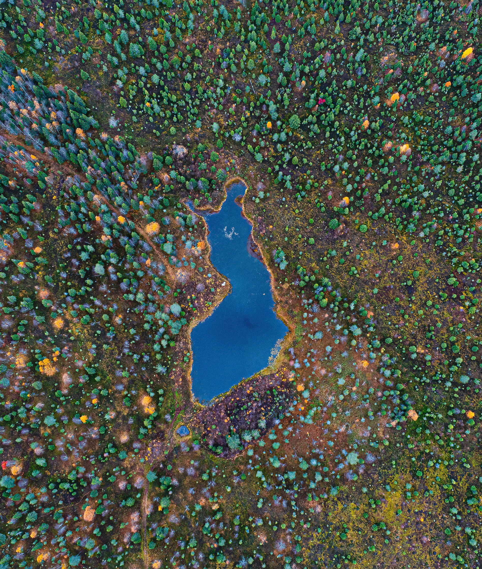 Il lago con la forma della Finlandia...