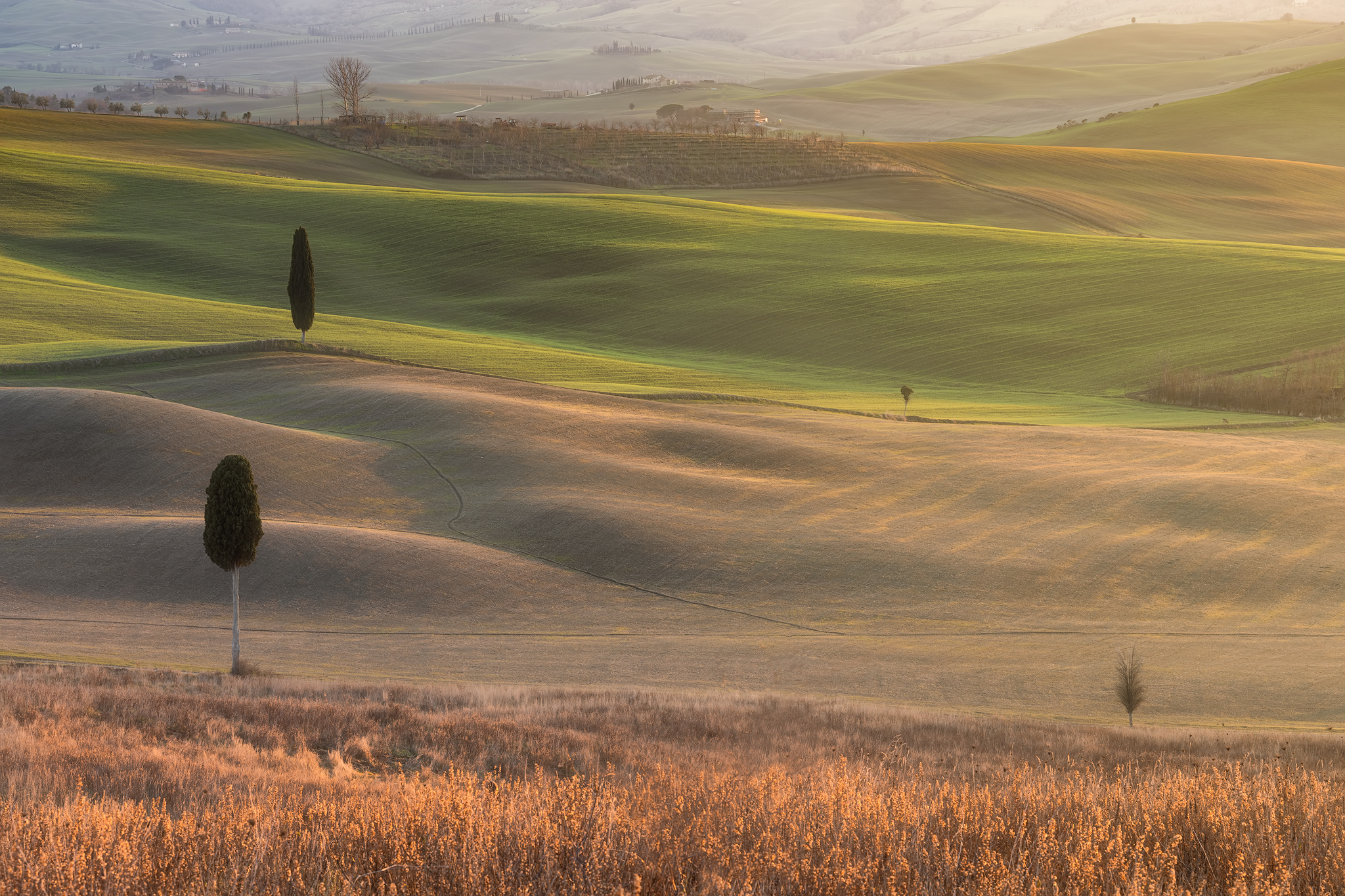 The soft hills of the Val d'Orcia....