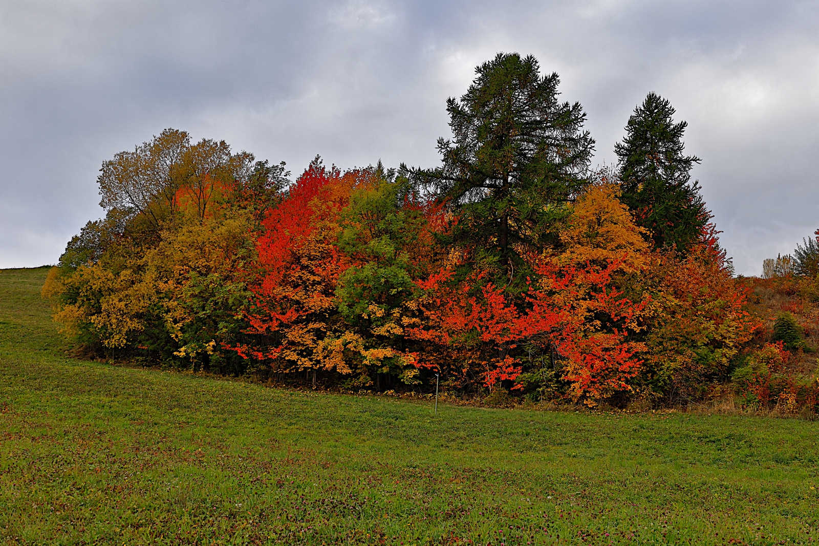 I colori dell autunno...
