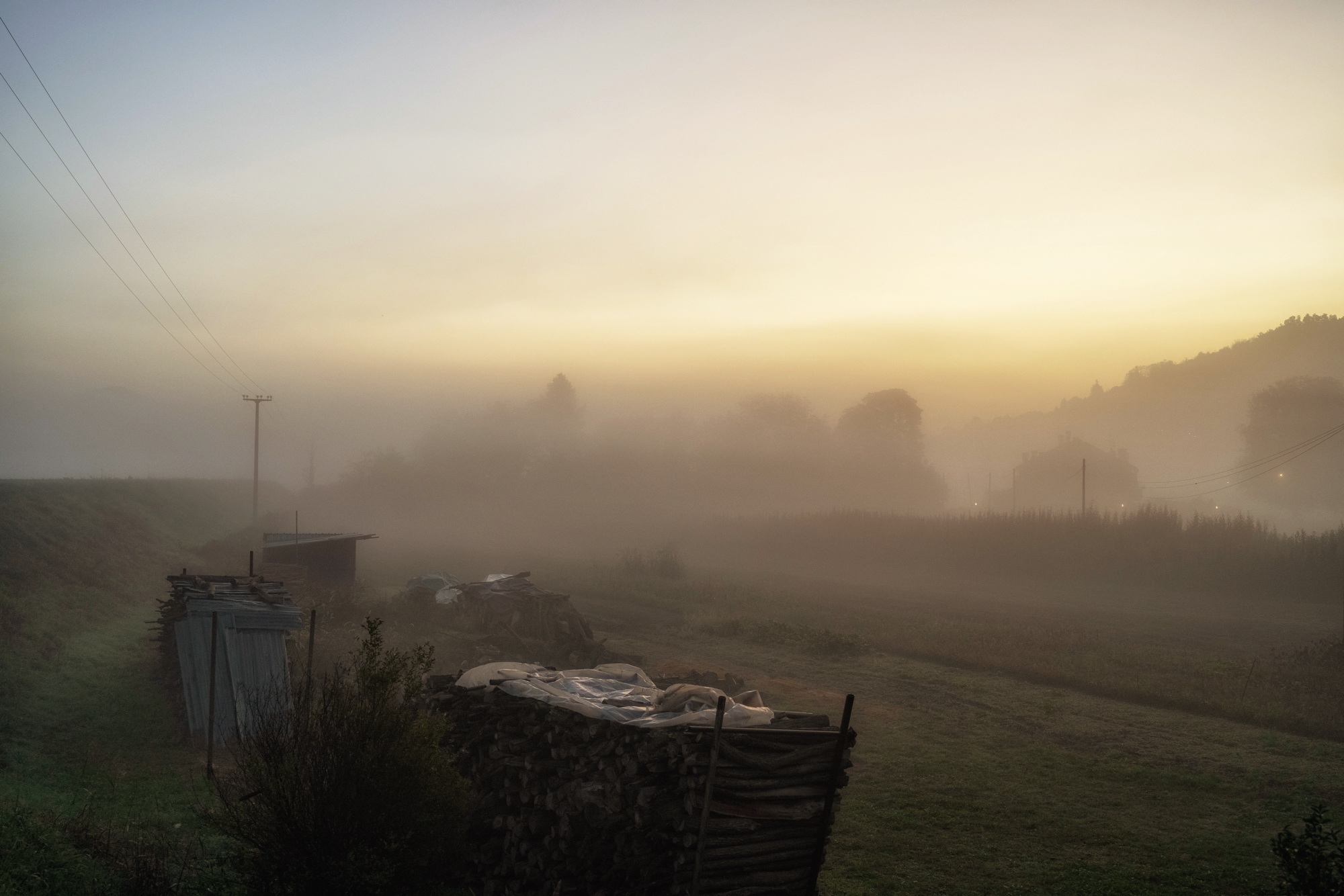 Morning fog...