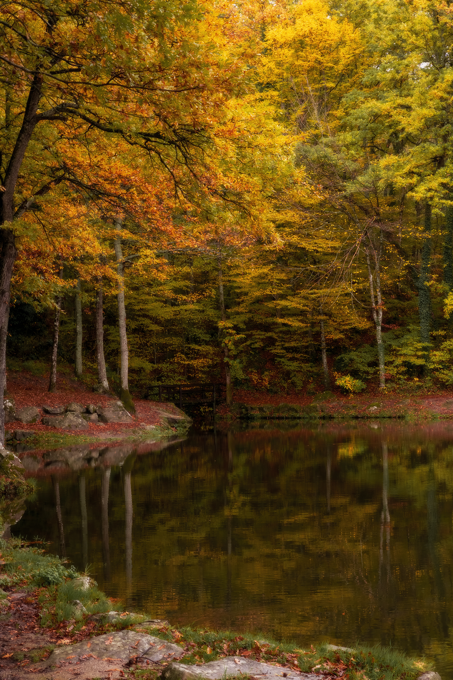 Riflessi e colori d'autunno...
