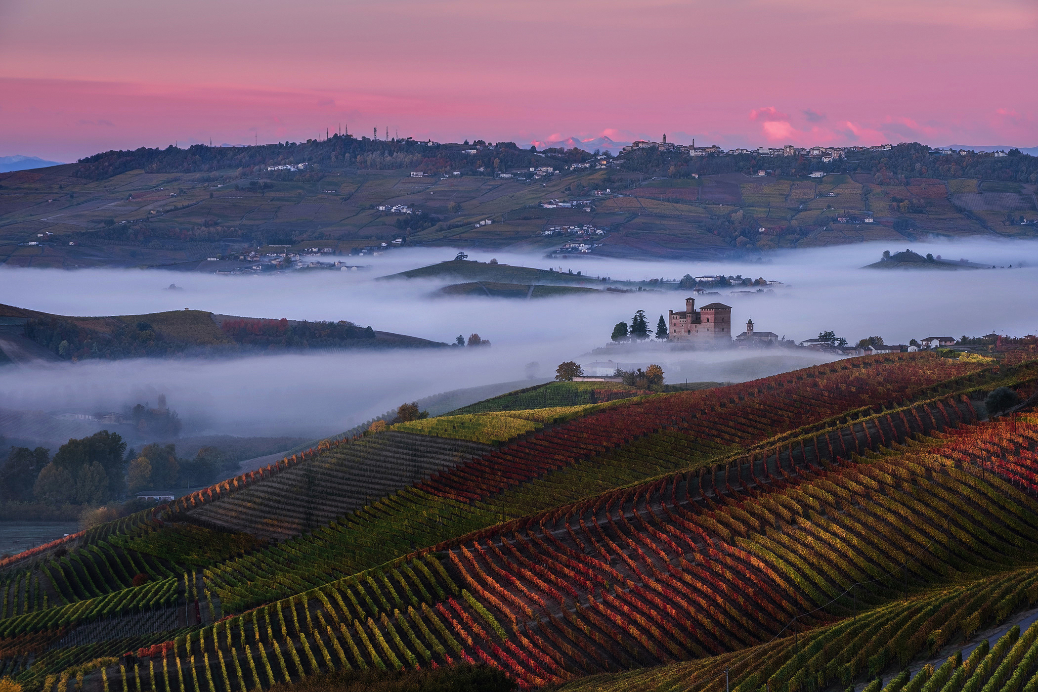 In the heart of the Langhe...