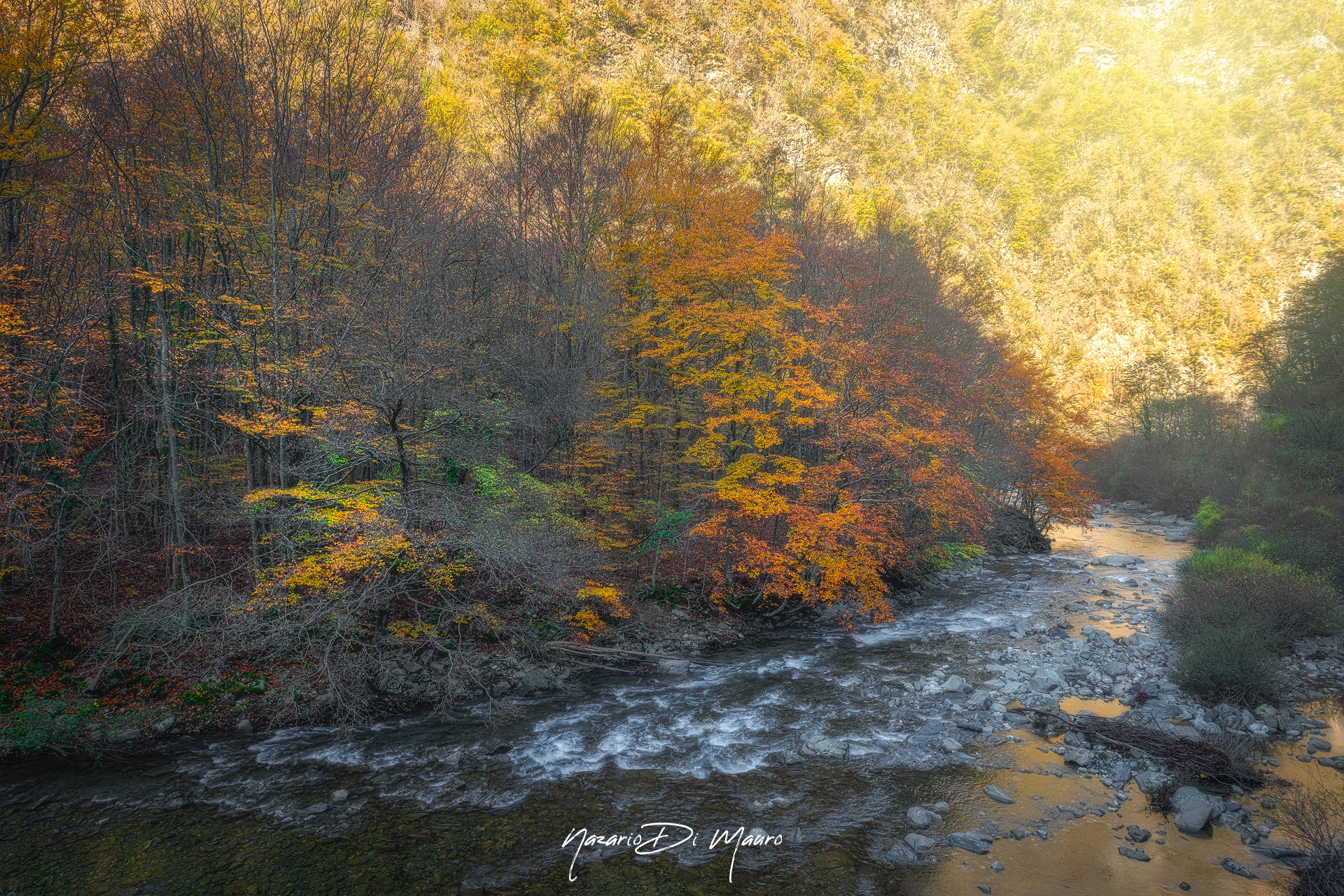 I colori dell'autunno - Entroterra ligure...