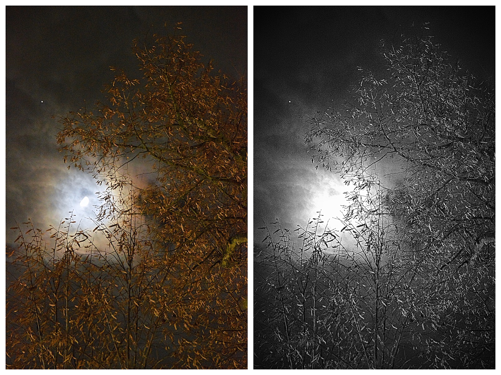 Sirio, la Luna e la notte....