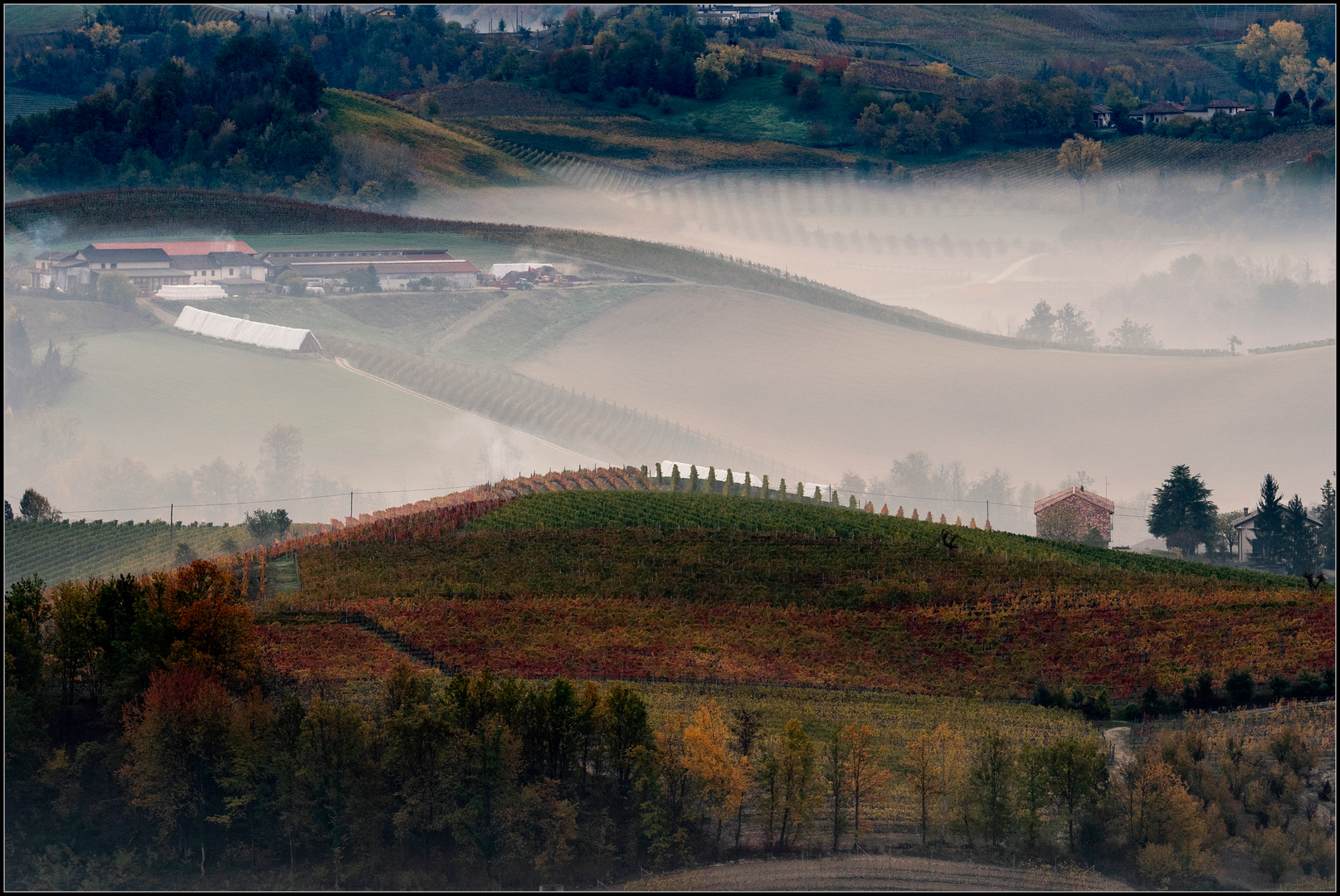Autumn in the Langhe...
