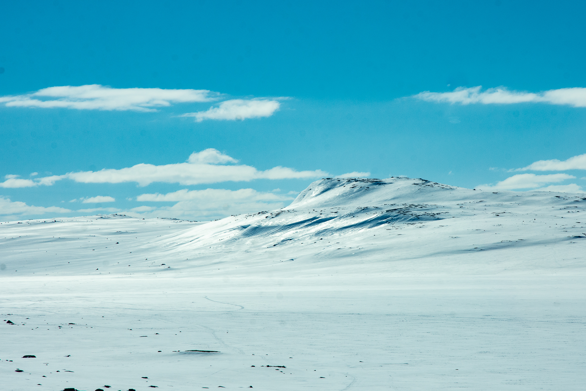 Hardangervidda landscape...