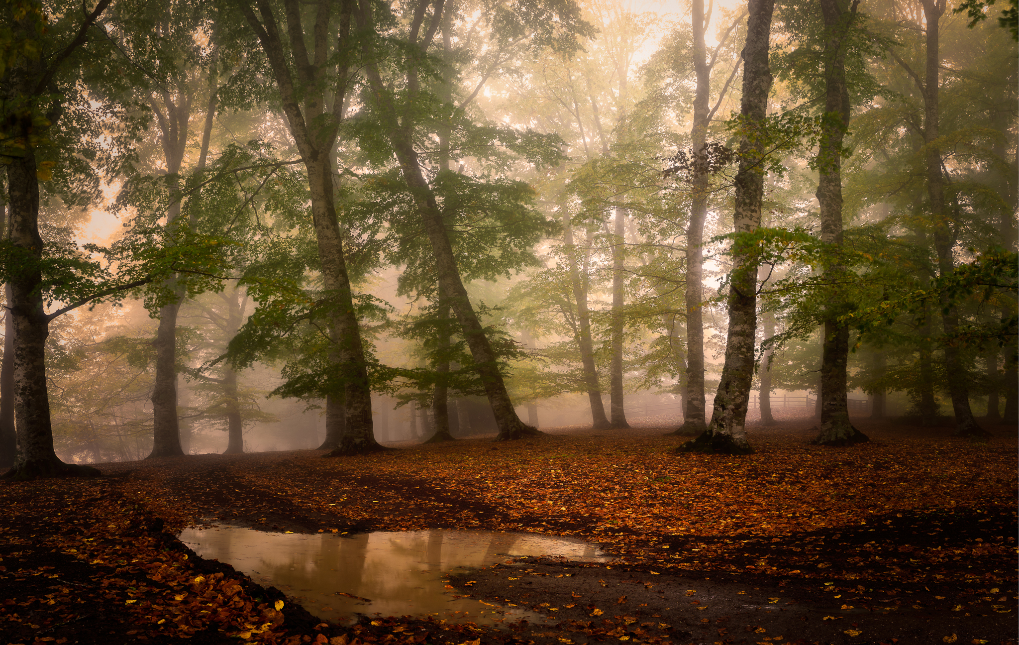 Atmospheres of autunno_02...