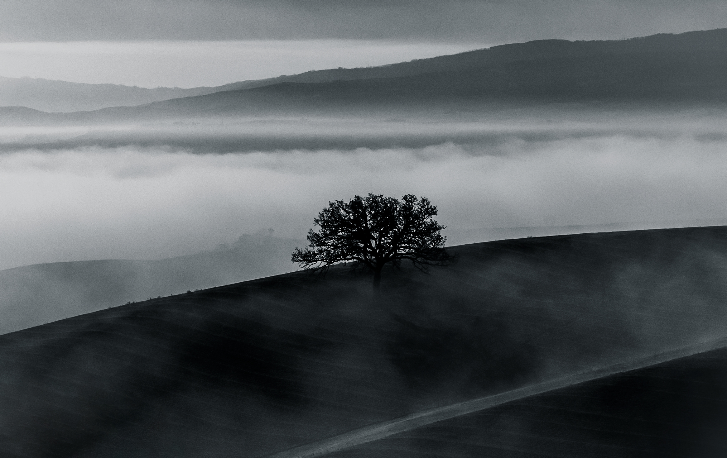 Solitario sulle colline con nebbia...
