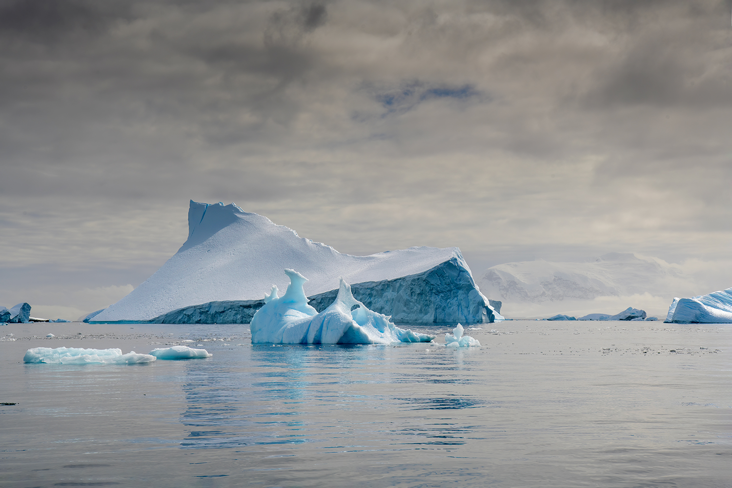 Panorama glaciale  a Cuverville Island - Antartide...
