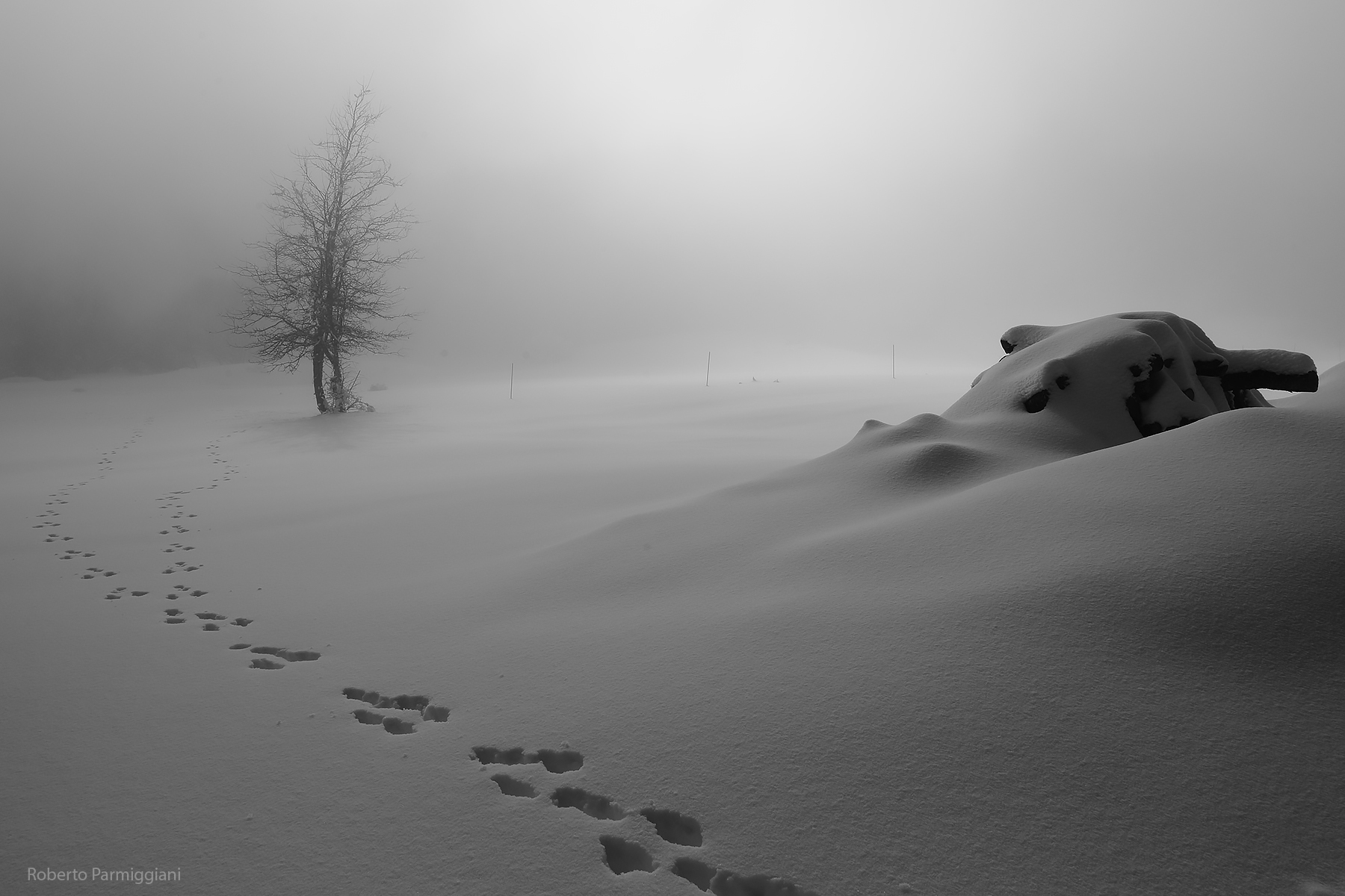Mysterious footprints...
