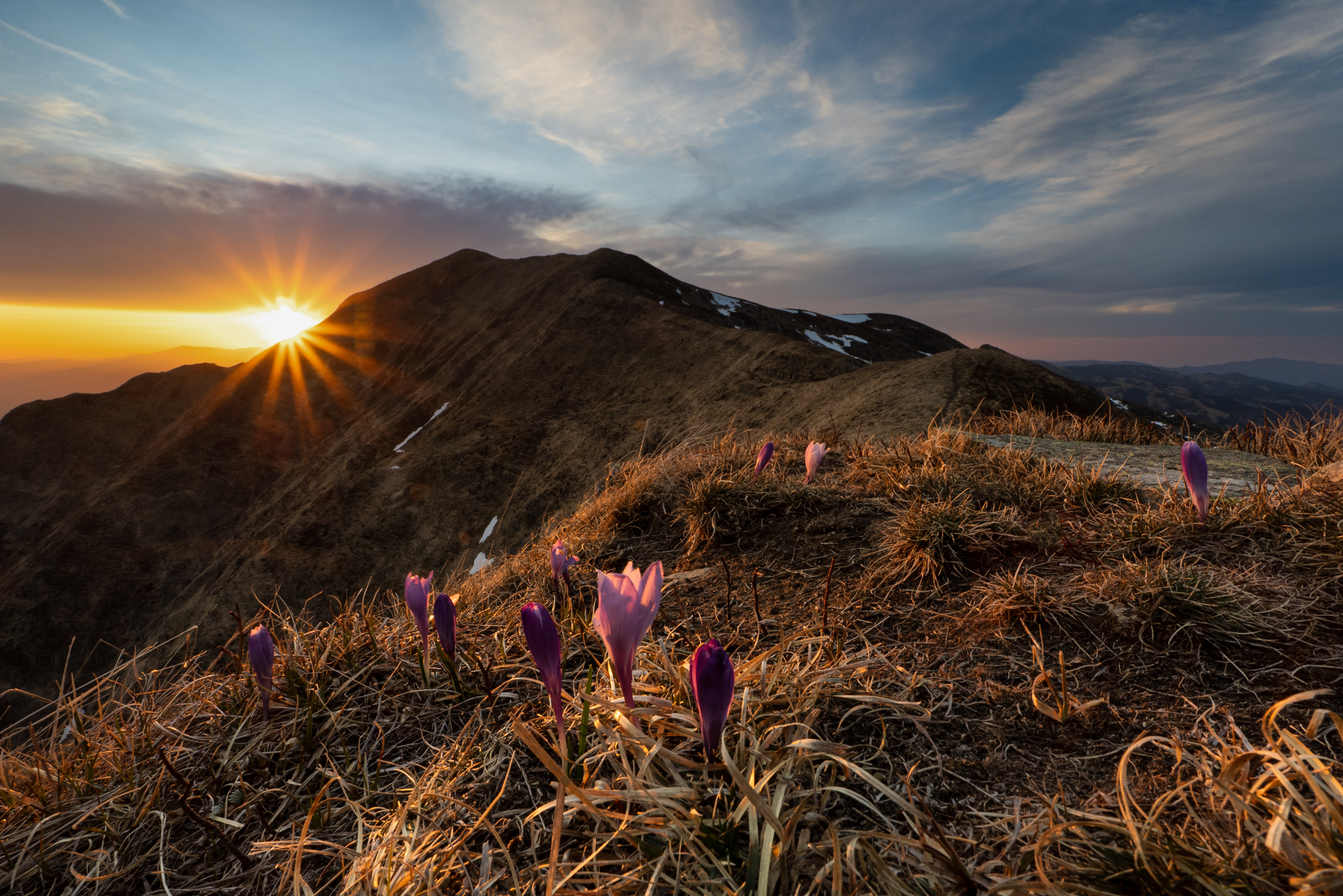 Spring at the summit...