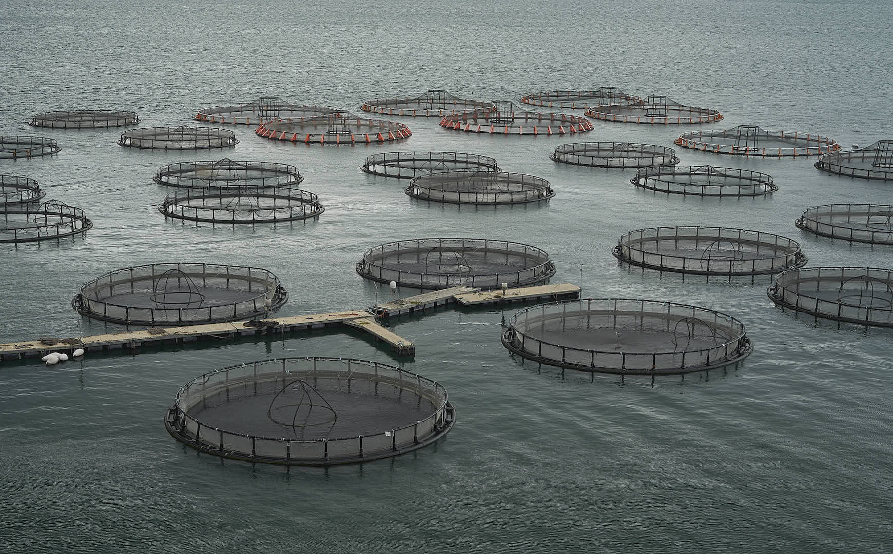 aquaculture...