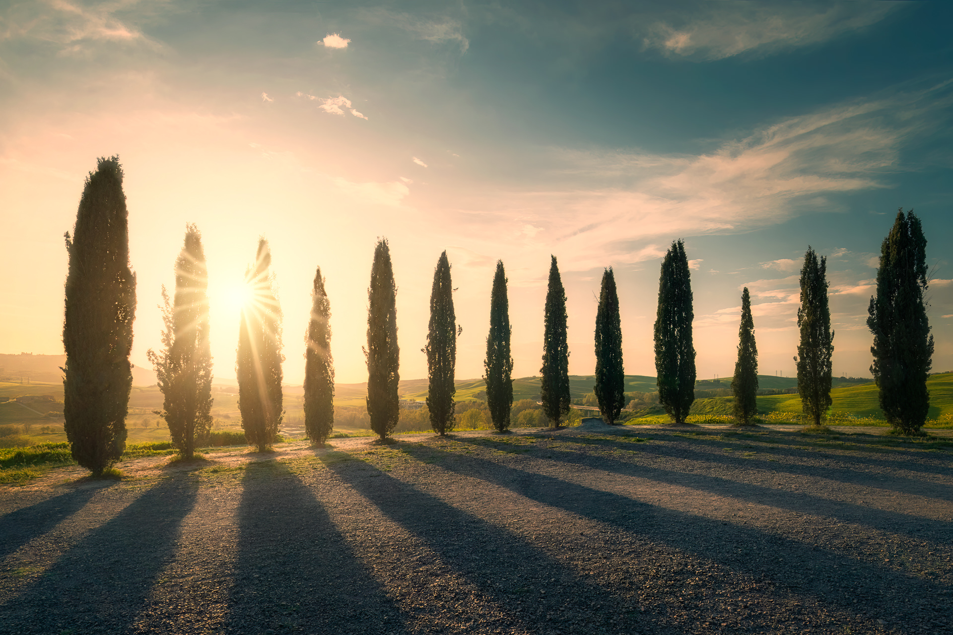 The Cypresses of San Quirico...