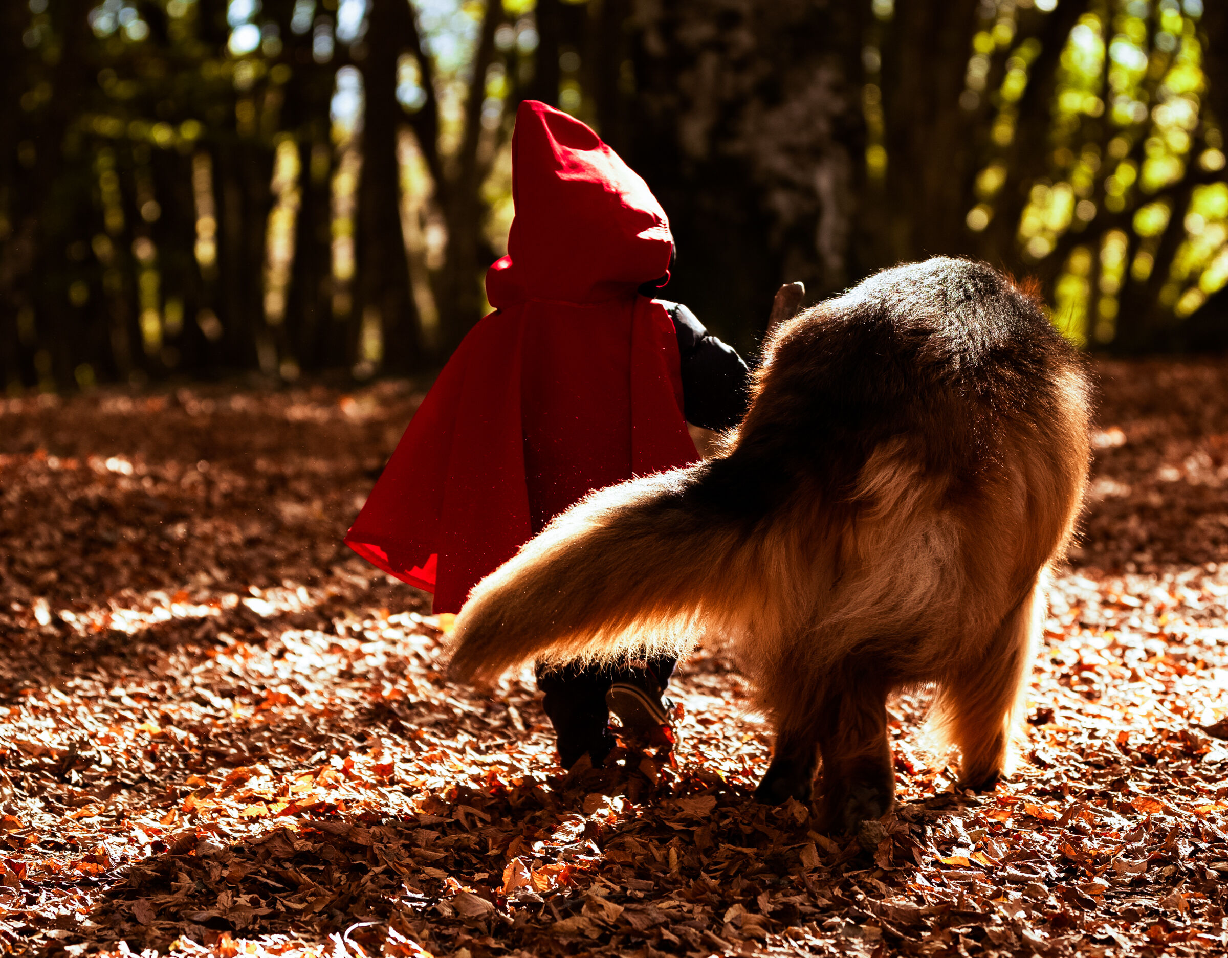 Little Red Riding Hood and the Wolf...