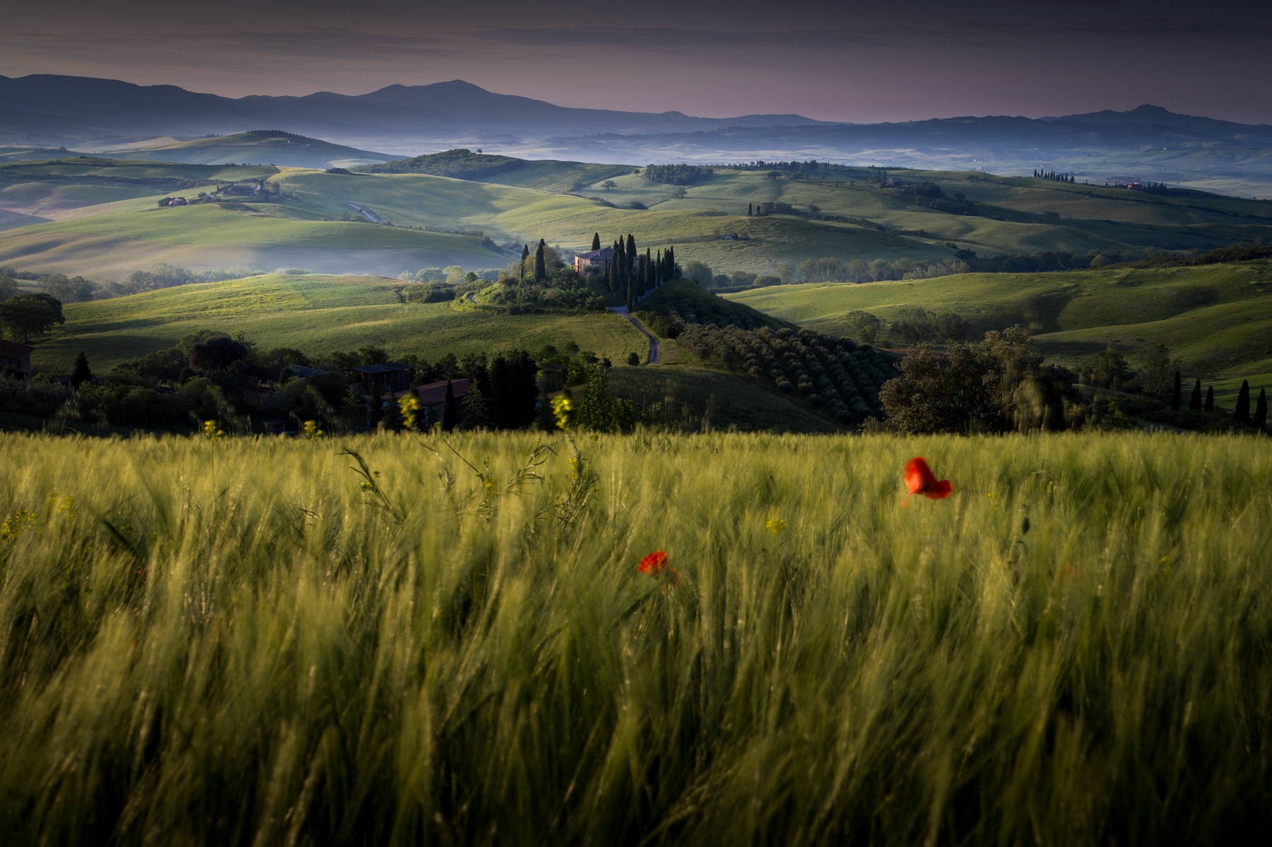 I colori della Toscana...