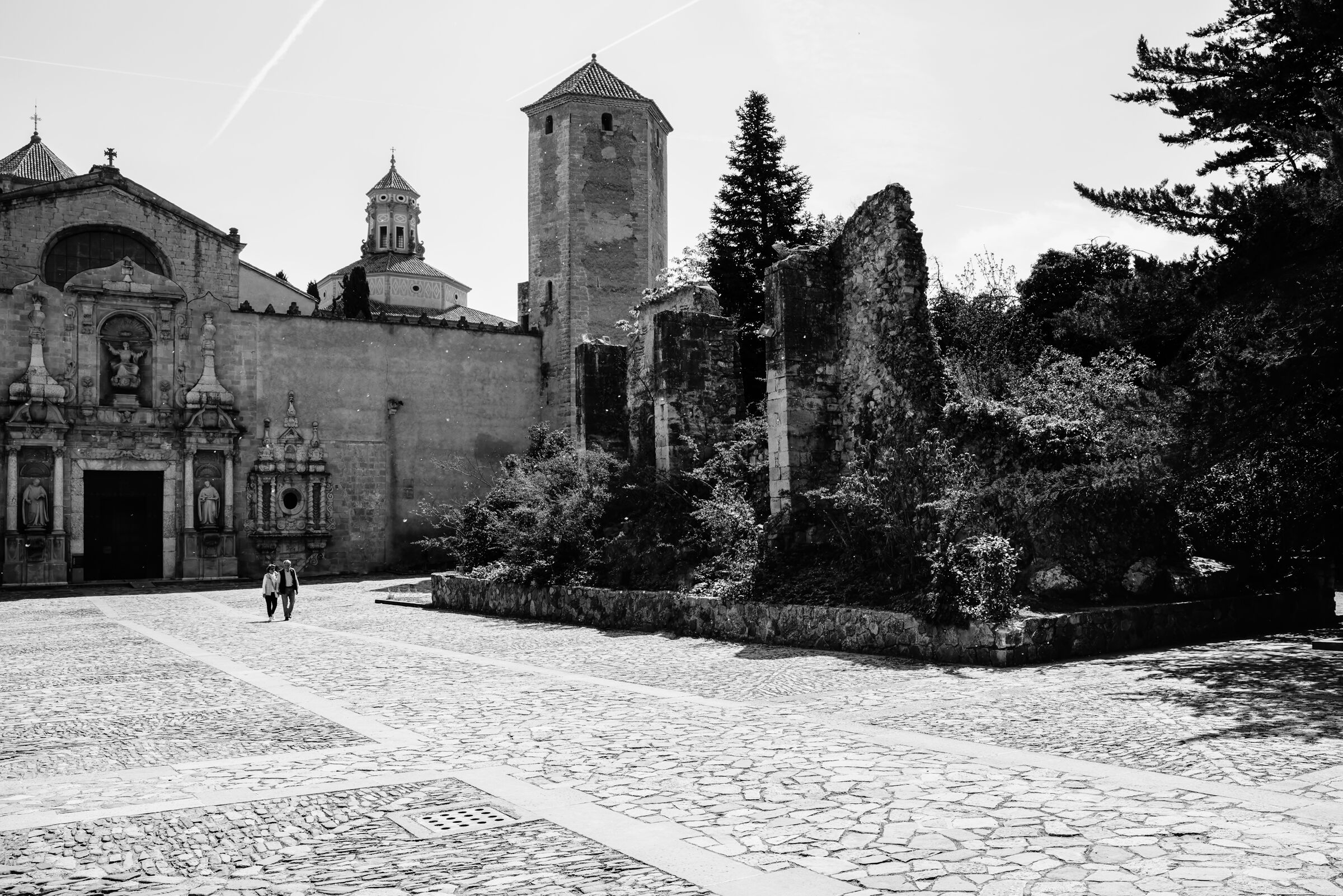 Monastero di Poblet(Spagna Catalogna, prv di Tarragona)...