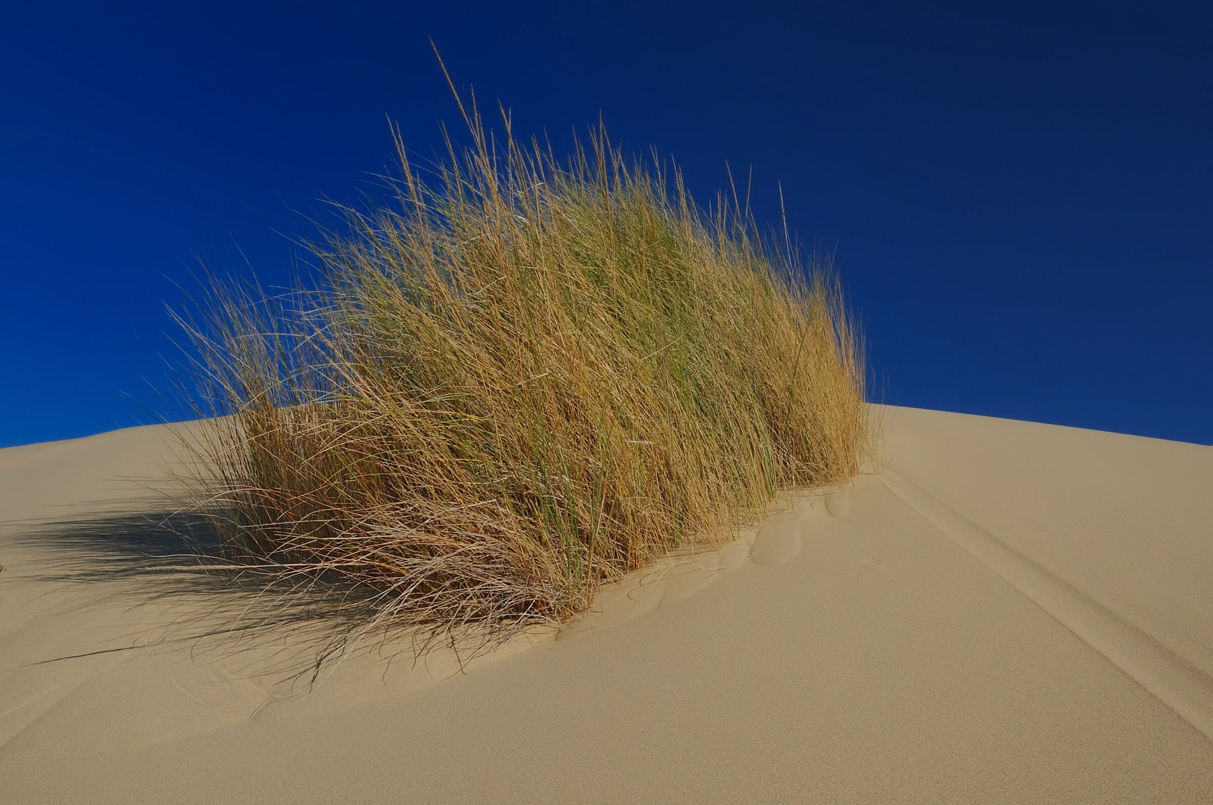 Dunes of Piscinas - Costa Verde Arbus...