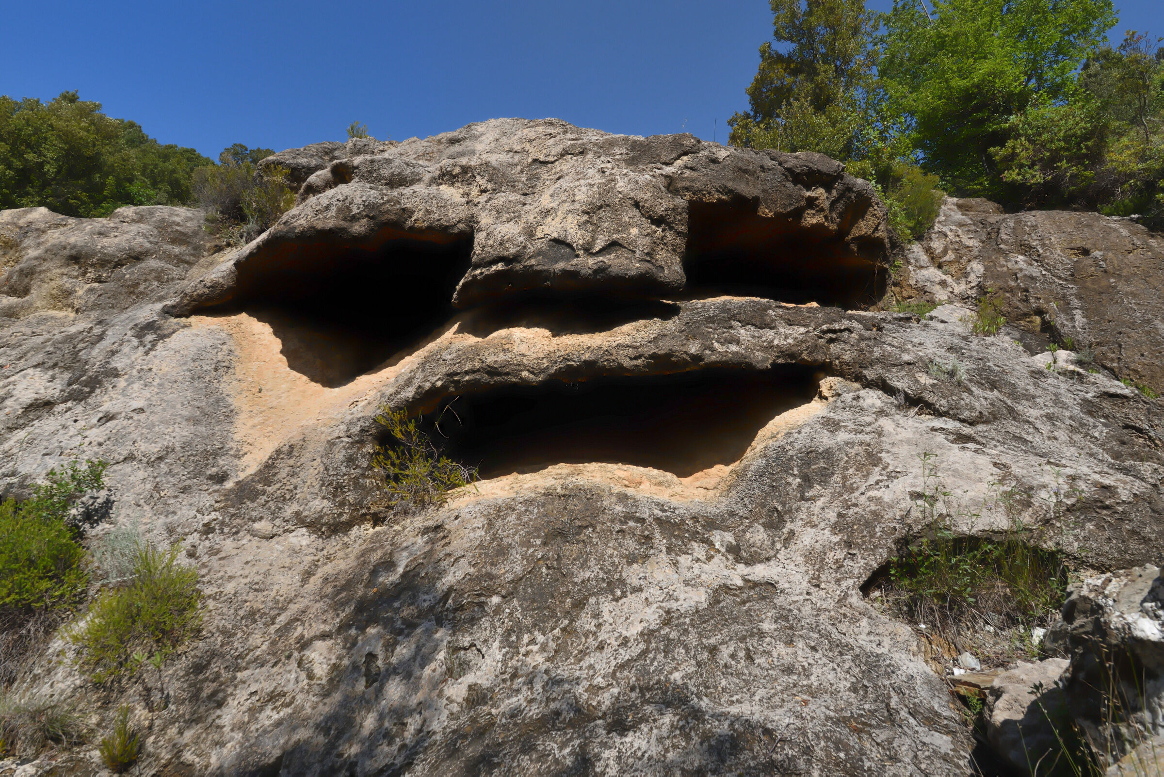The limestone monster ......