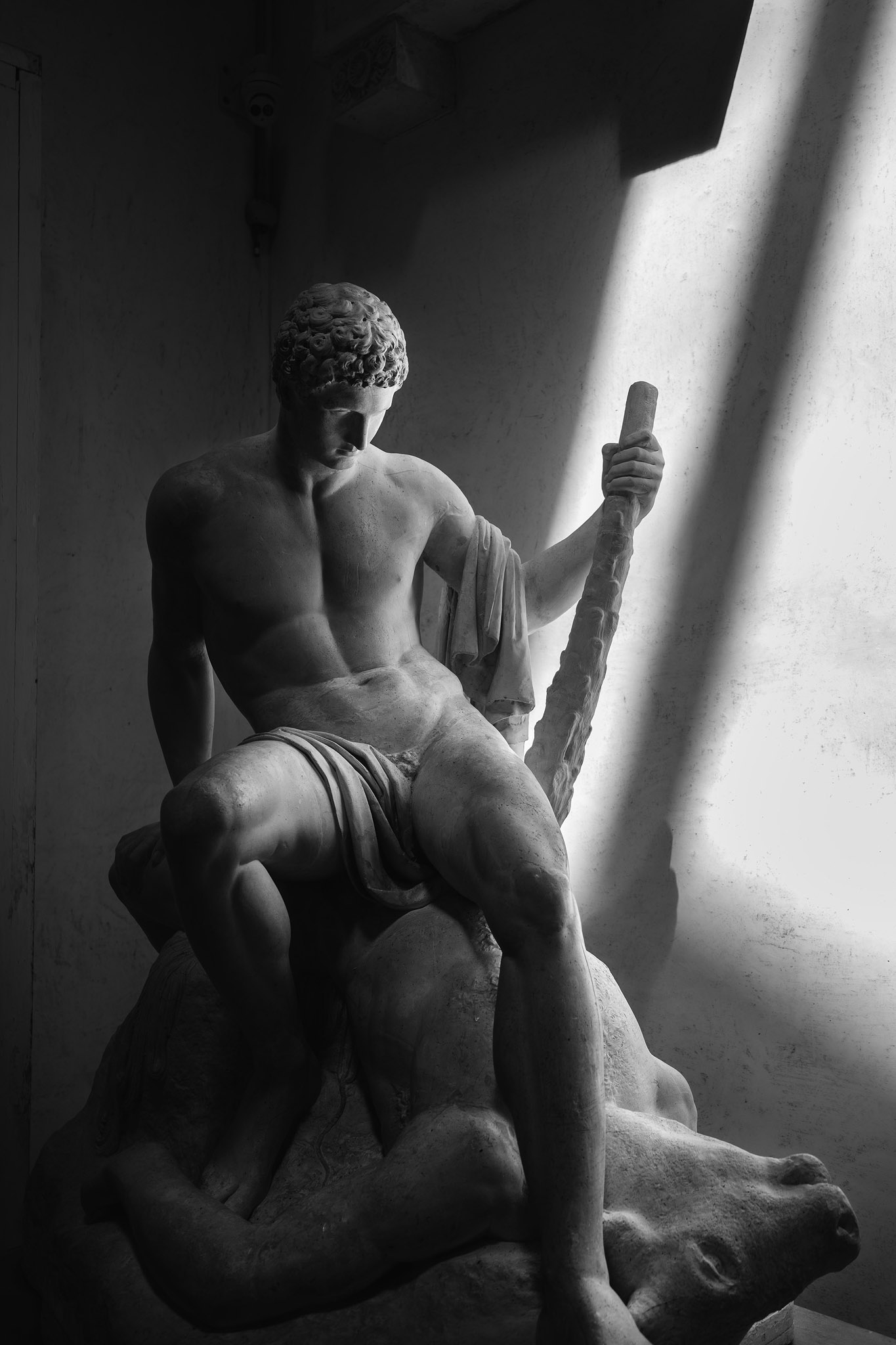 Theseus on the Minotaur / Gypsoteca Canova...