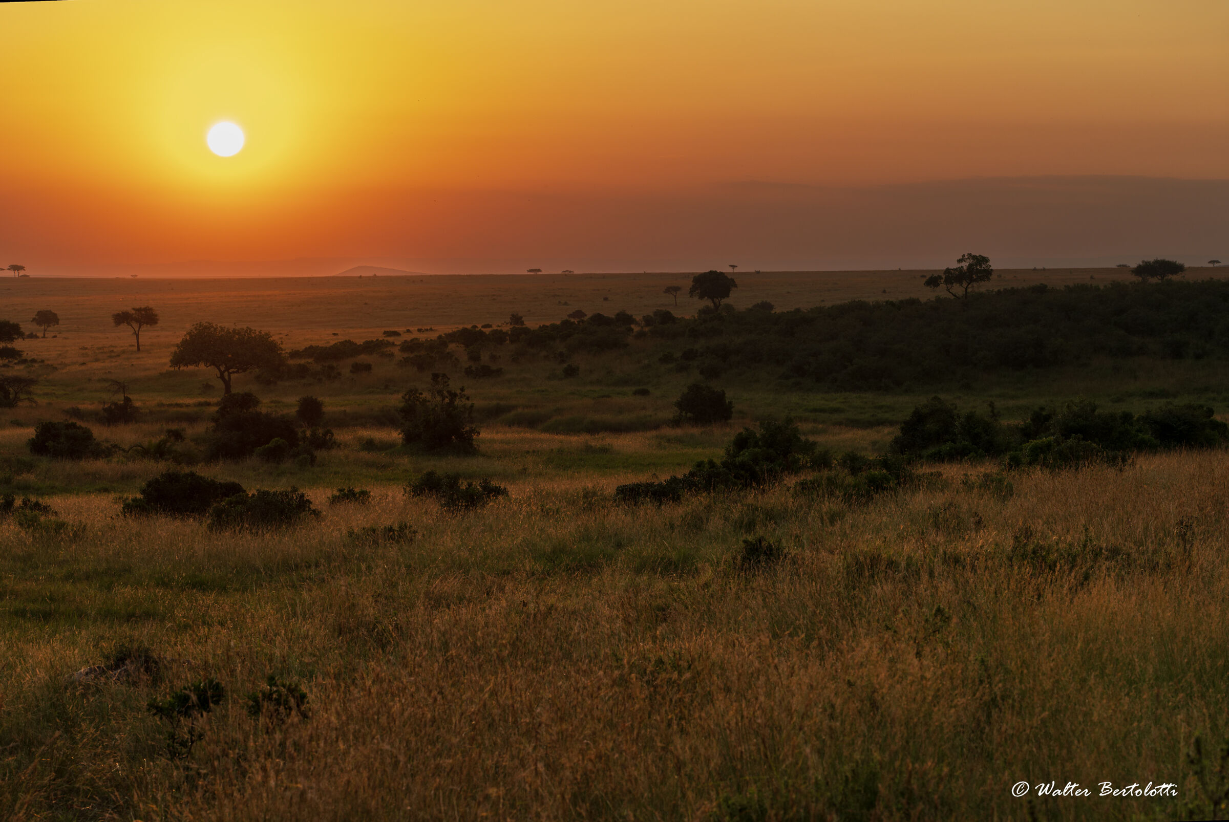 il Masai Mara...