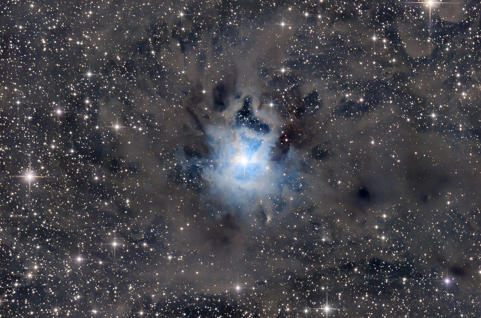 Iris Nebula - NGC 7023...