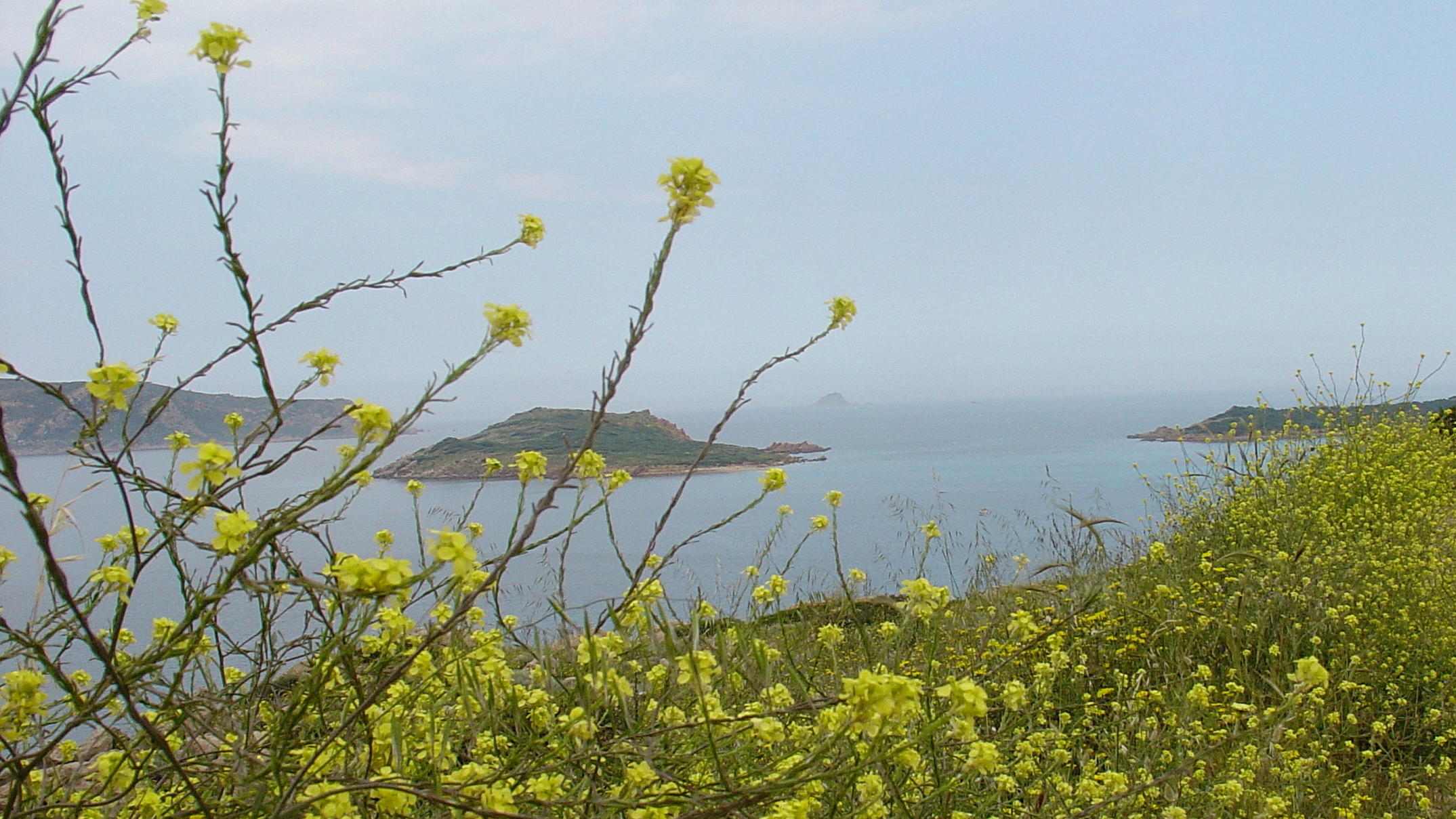 Spring in Sardinia 3...
